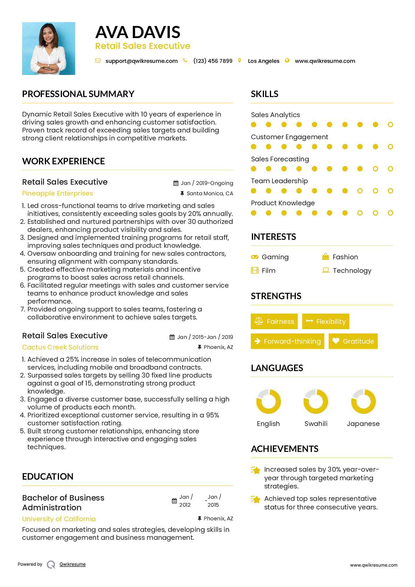 Retail Sales Executive Resume Example