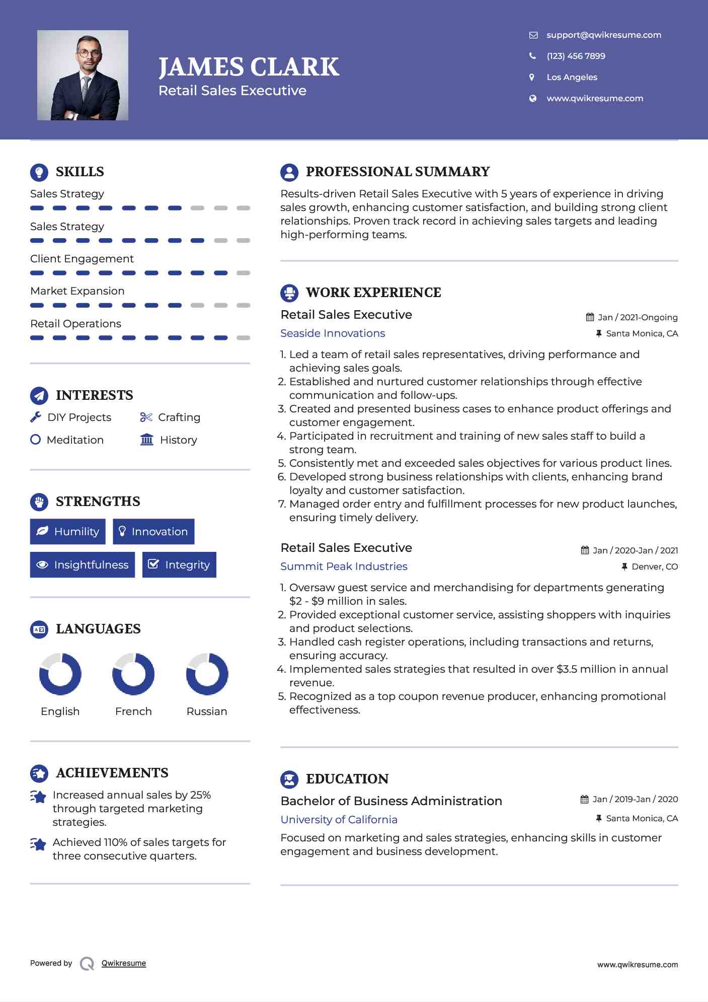 Retail Sales Executive Resume Model