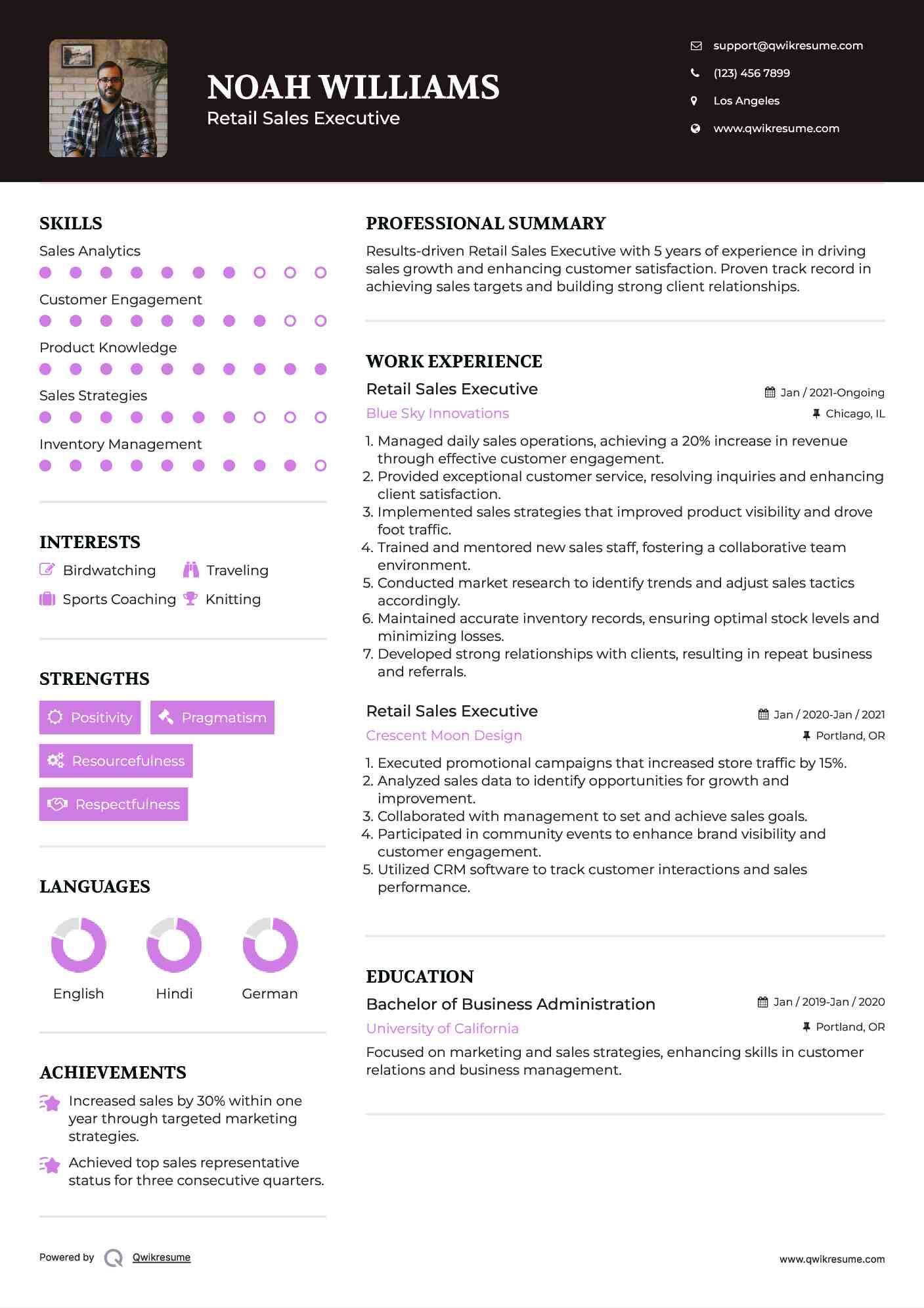 Retail Sales Executive Resume Model