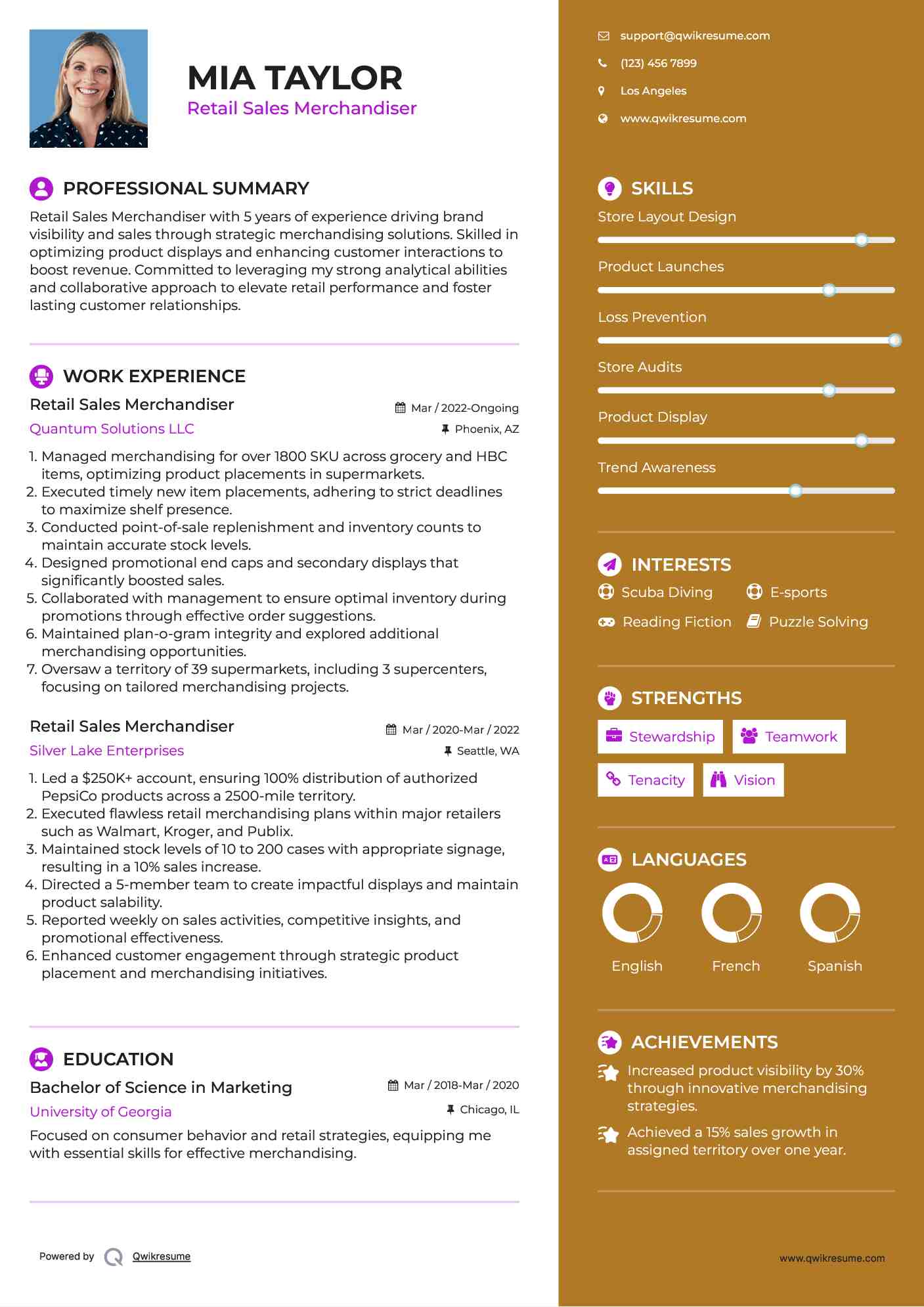 Retail Sales Merchandiser Resume Template