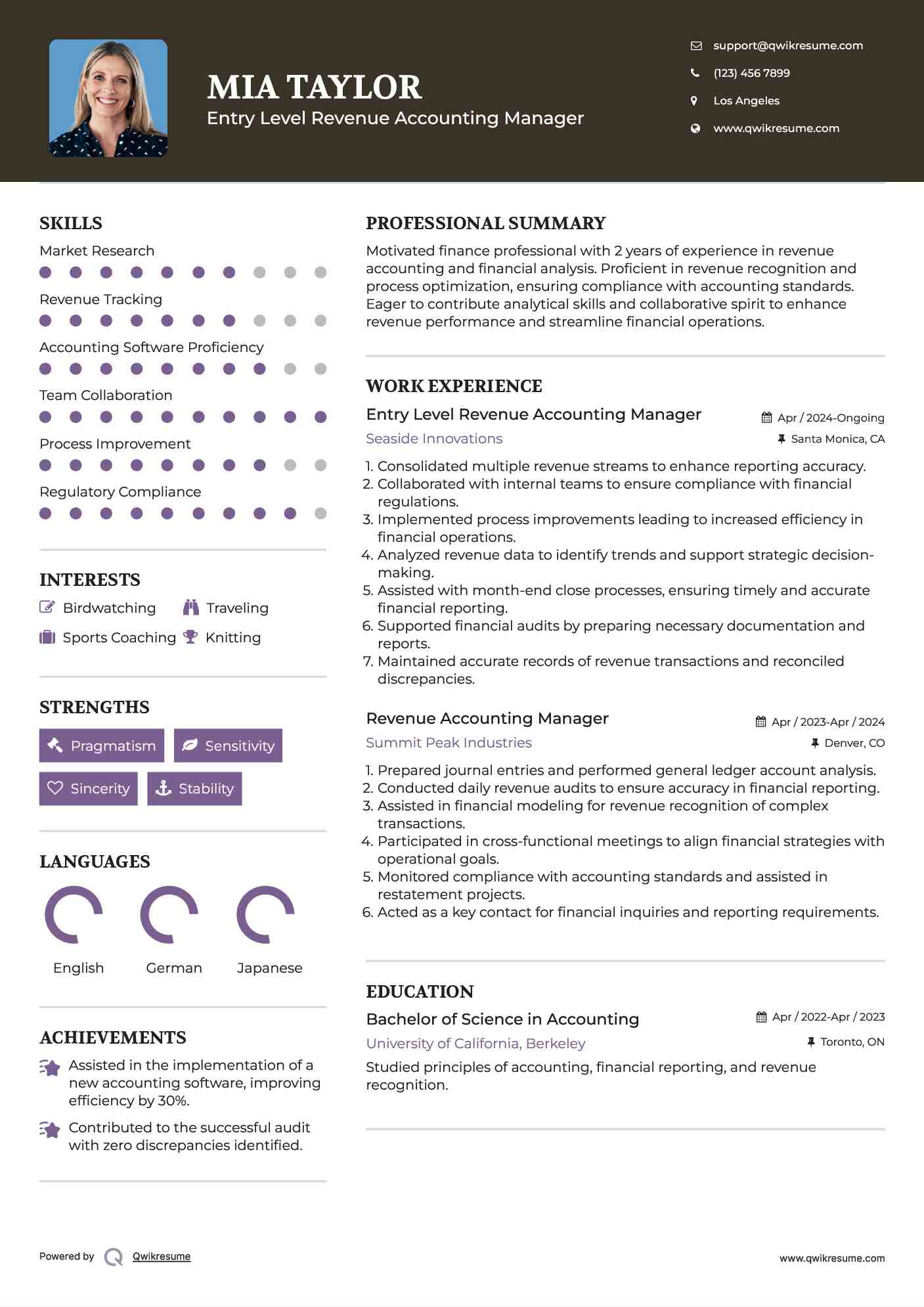 Entry Level Revenue Accounting Manager Resume Template