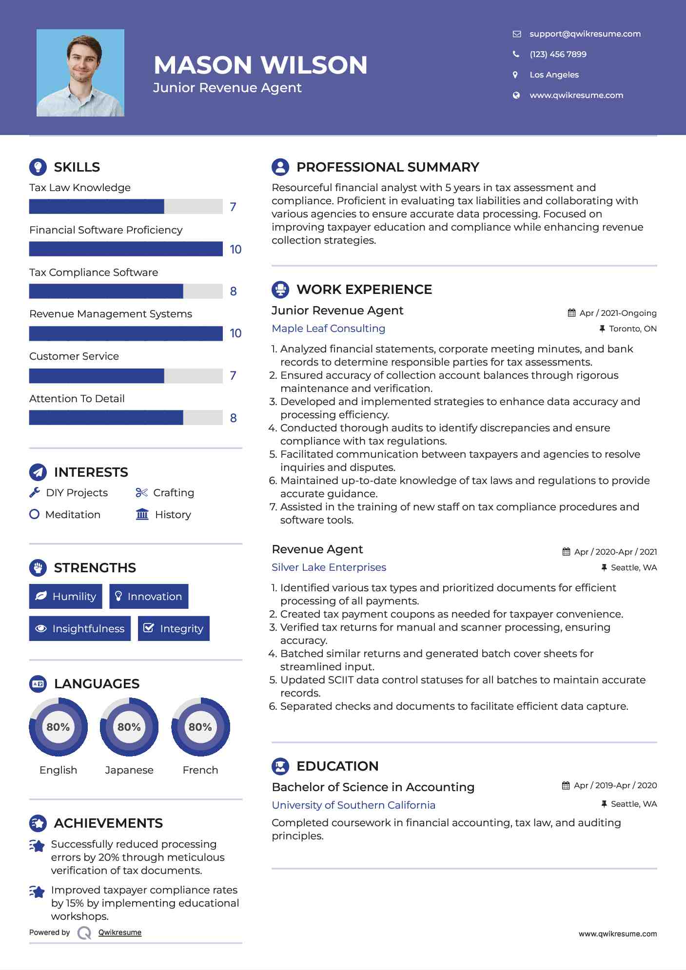 Junior Revenue Agent Resume Example