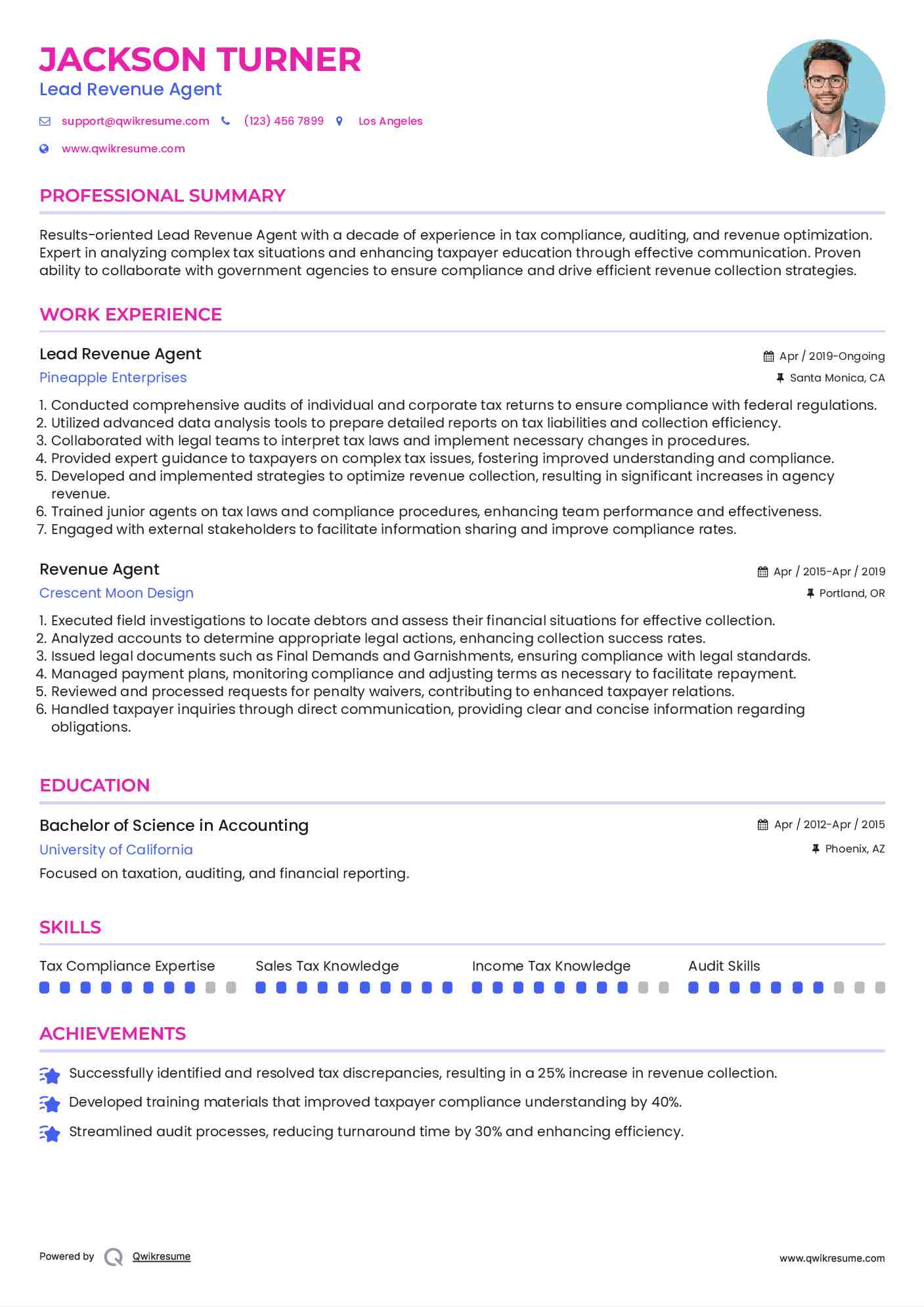 Lead Revenue Agent Resume Example