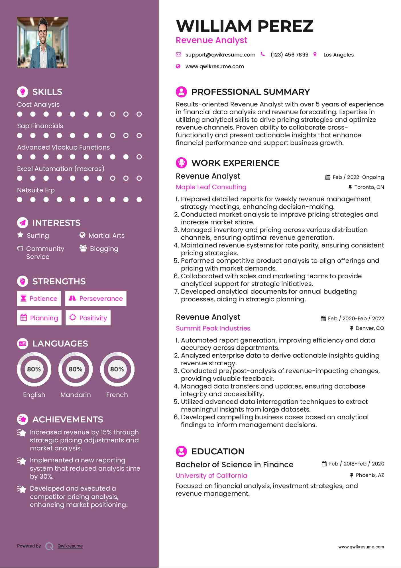 Revenue Analyst Resume Sample