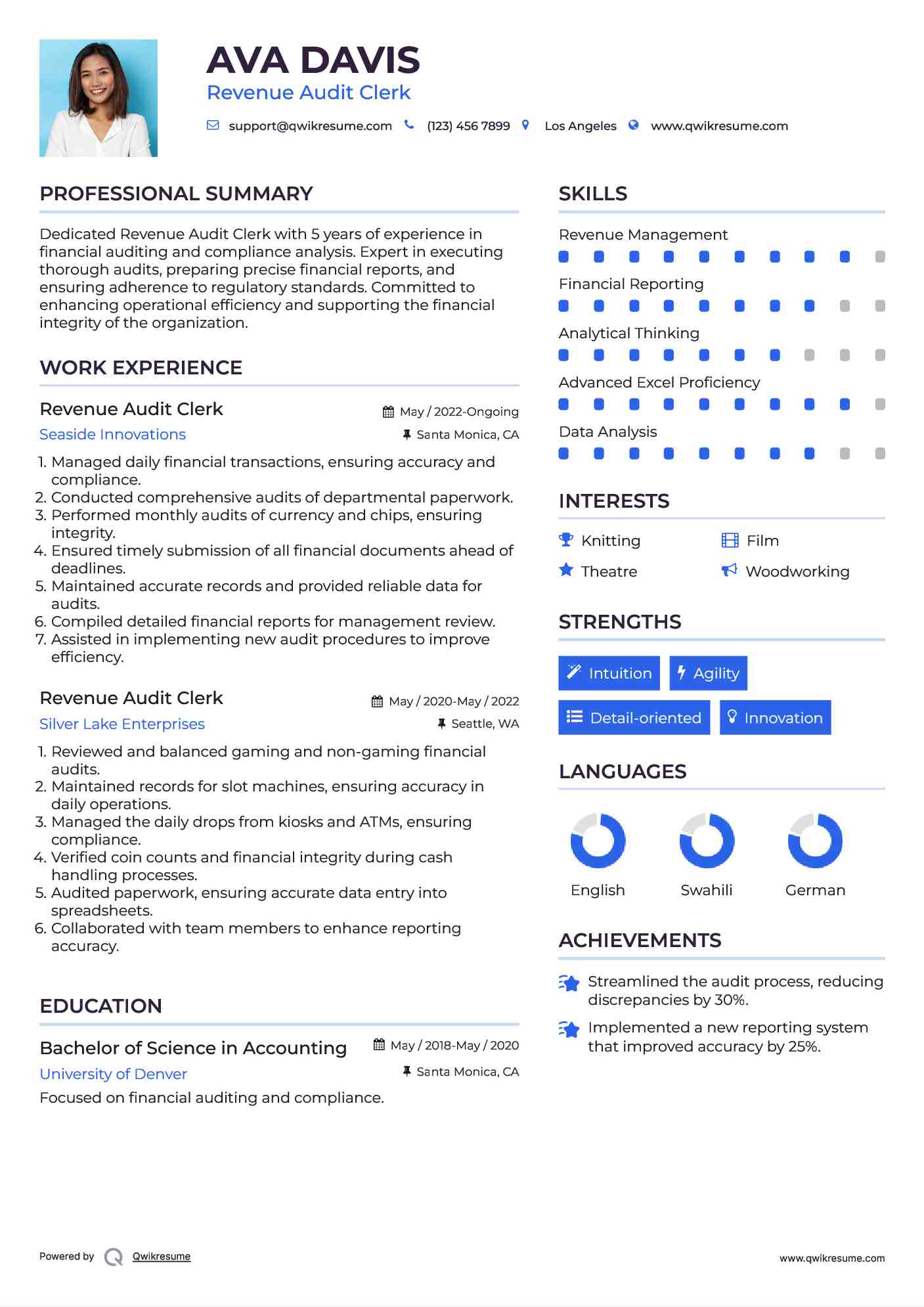 Revenue Audit Clerk Resume Template