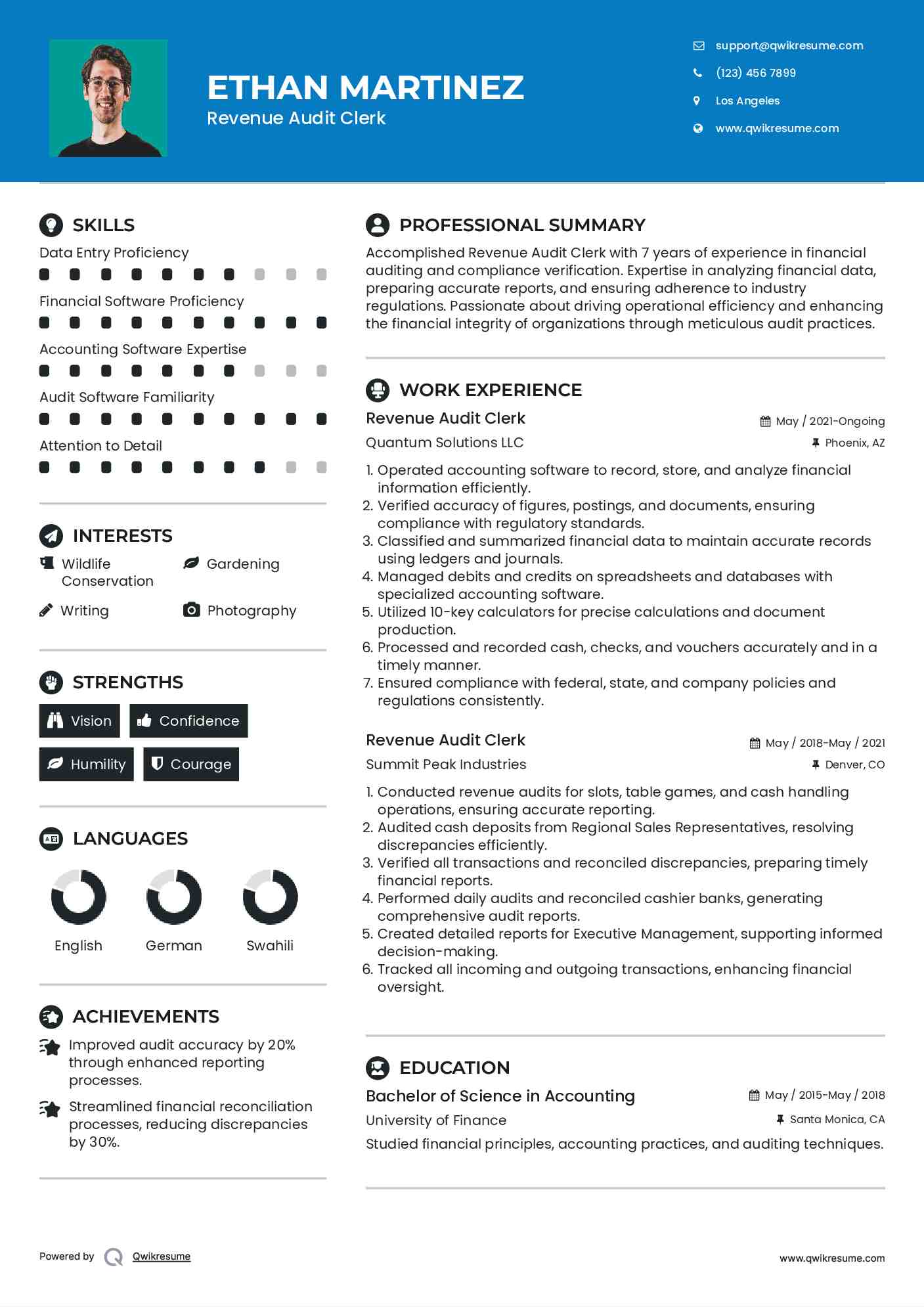 Revenue Audit Clerk Resume Sample