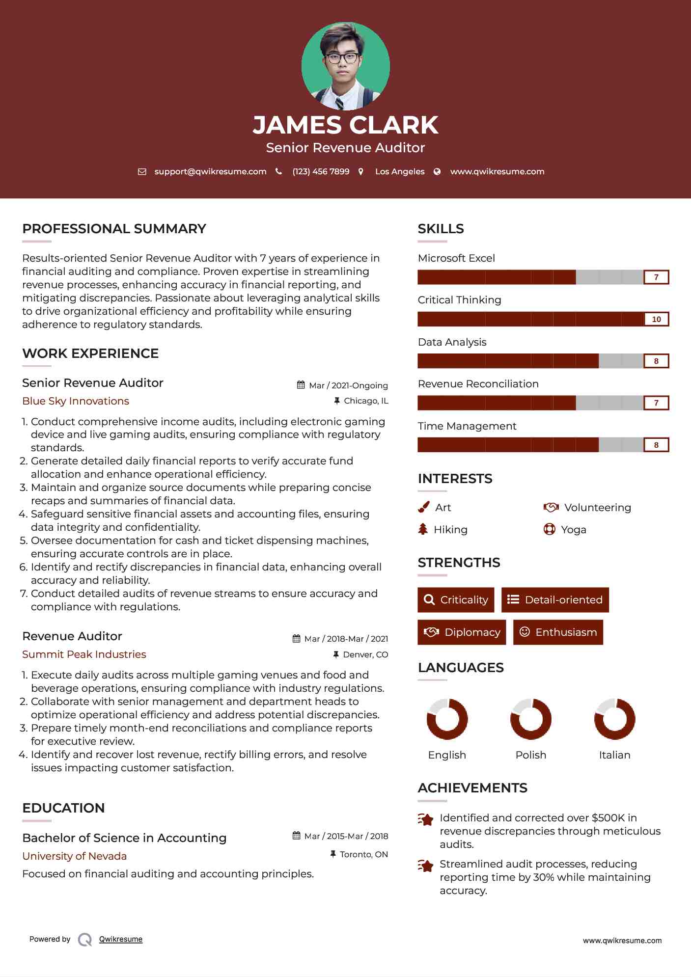 Senior Revenue Auditor Resume Sample