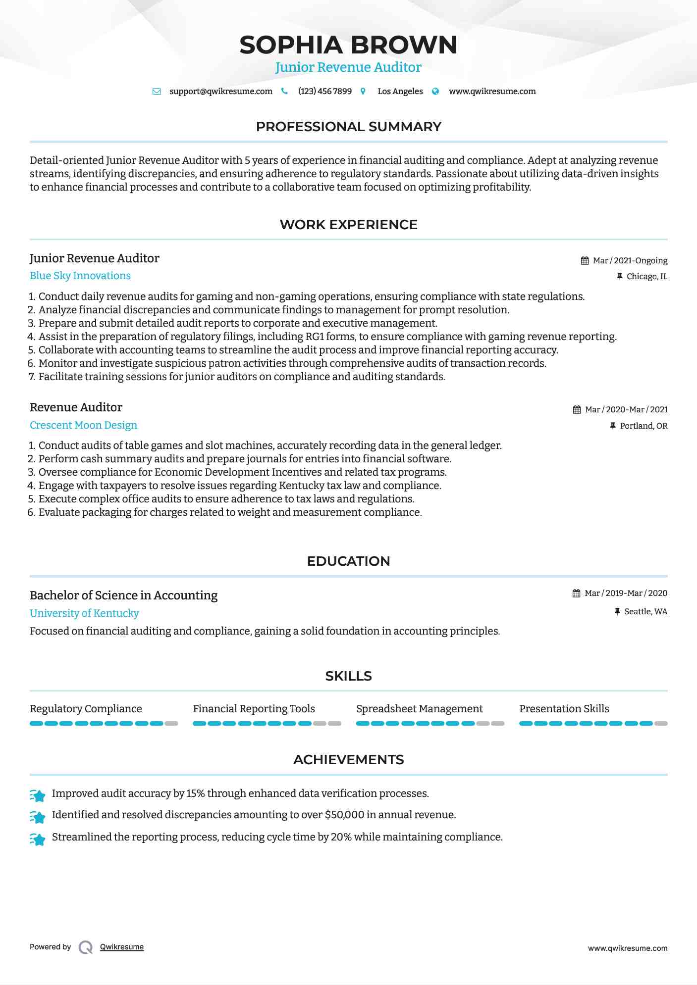 Junior Revenue Auditor Resume Template