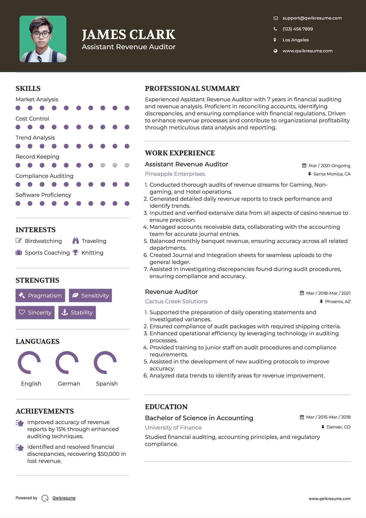 Assistant Revenue Auditor Resume Example