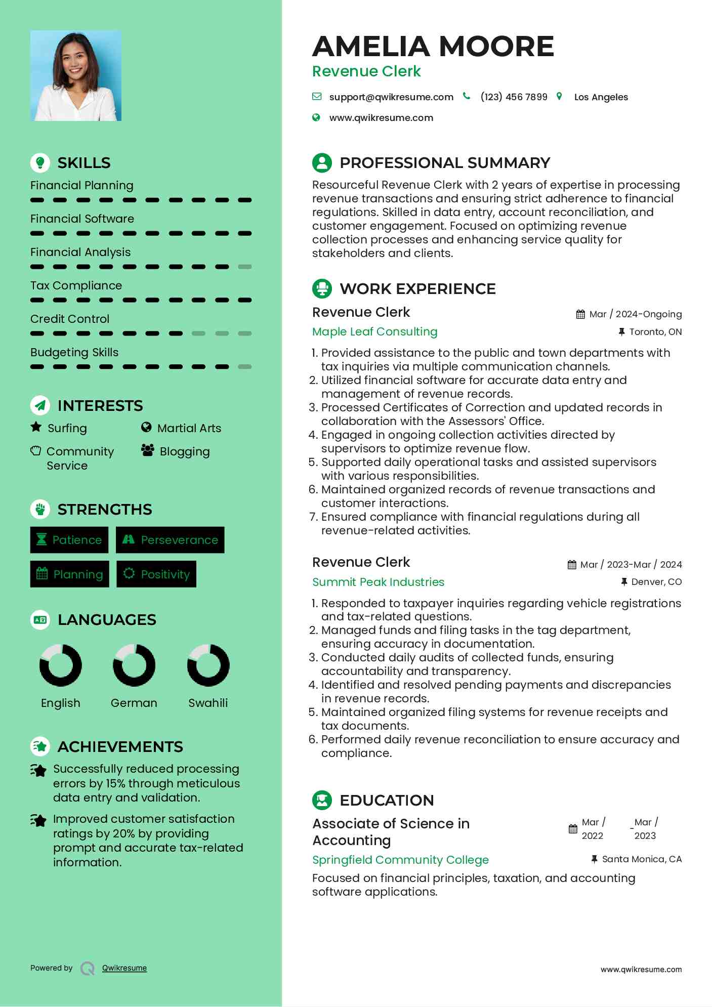 Revenue Clerk Resume Example