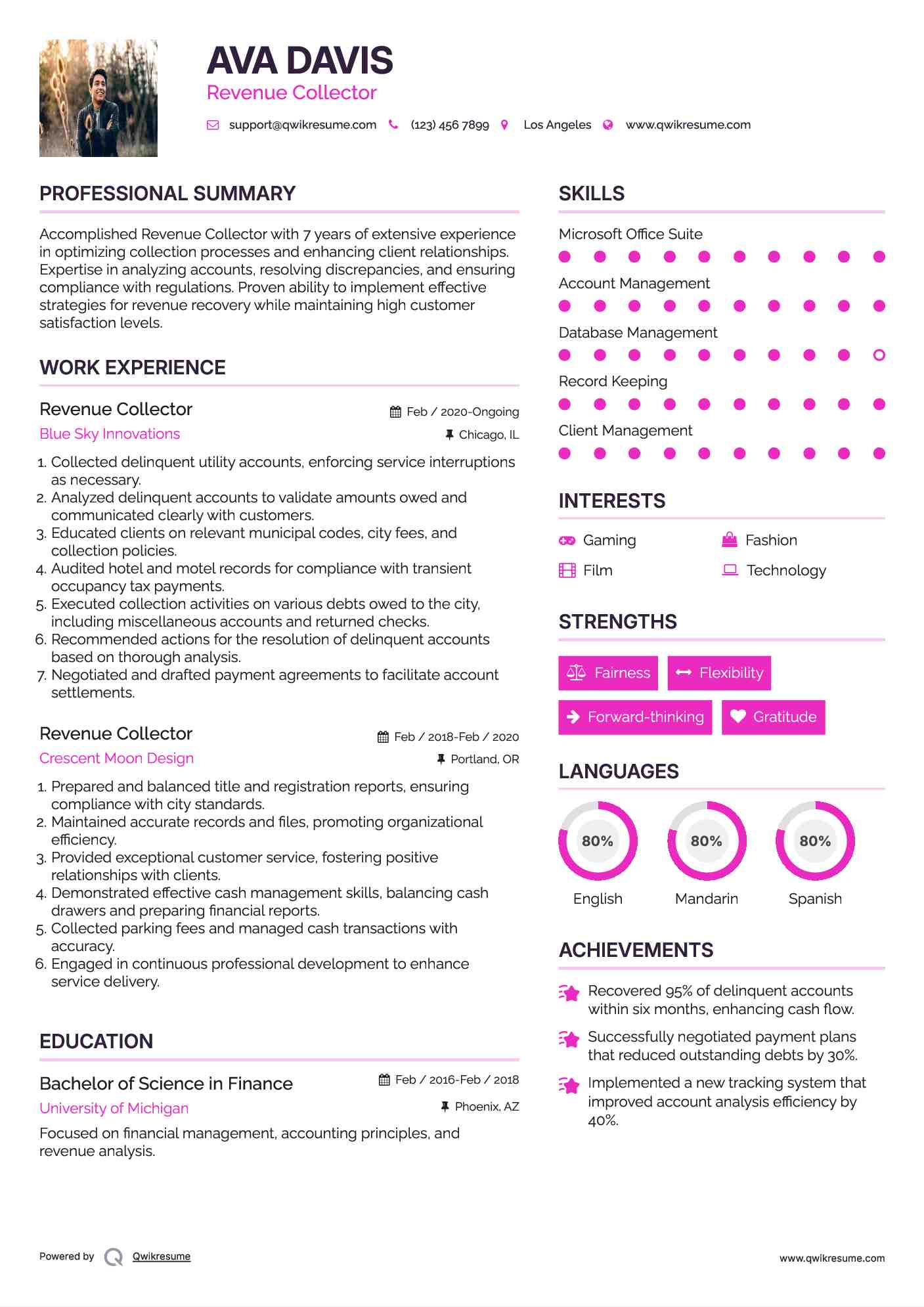 Revenue Collector Resume Model