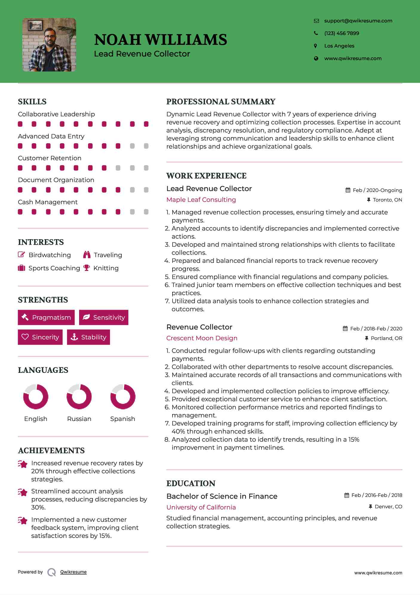 Lead Revenue Collector Resume Example
