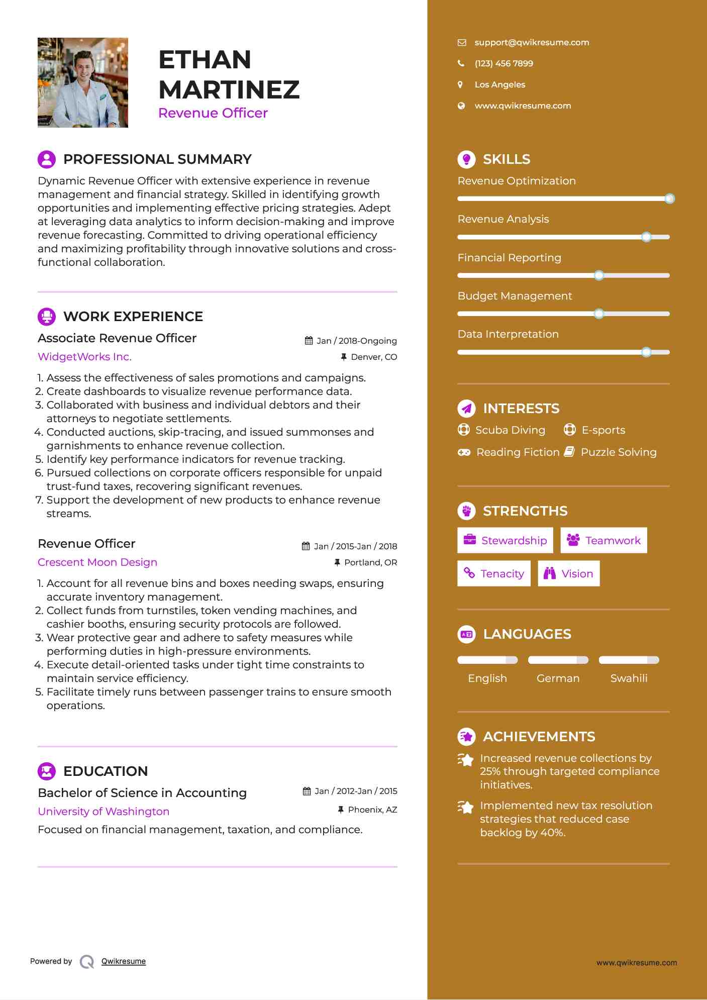 Associate Revenue Officer Resume Model