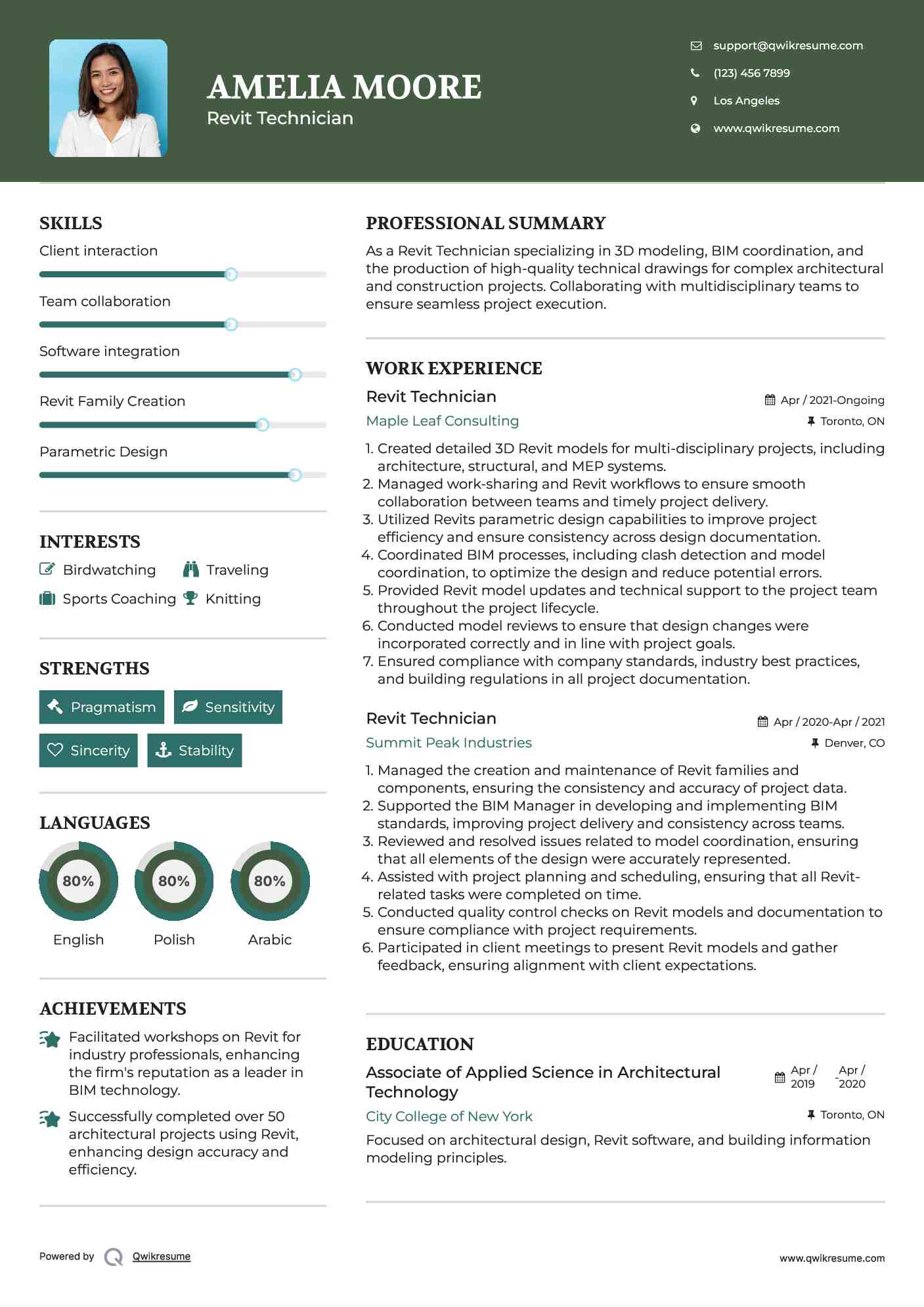 Revit Technician Resume Example