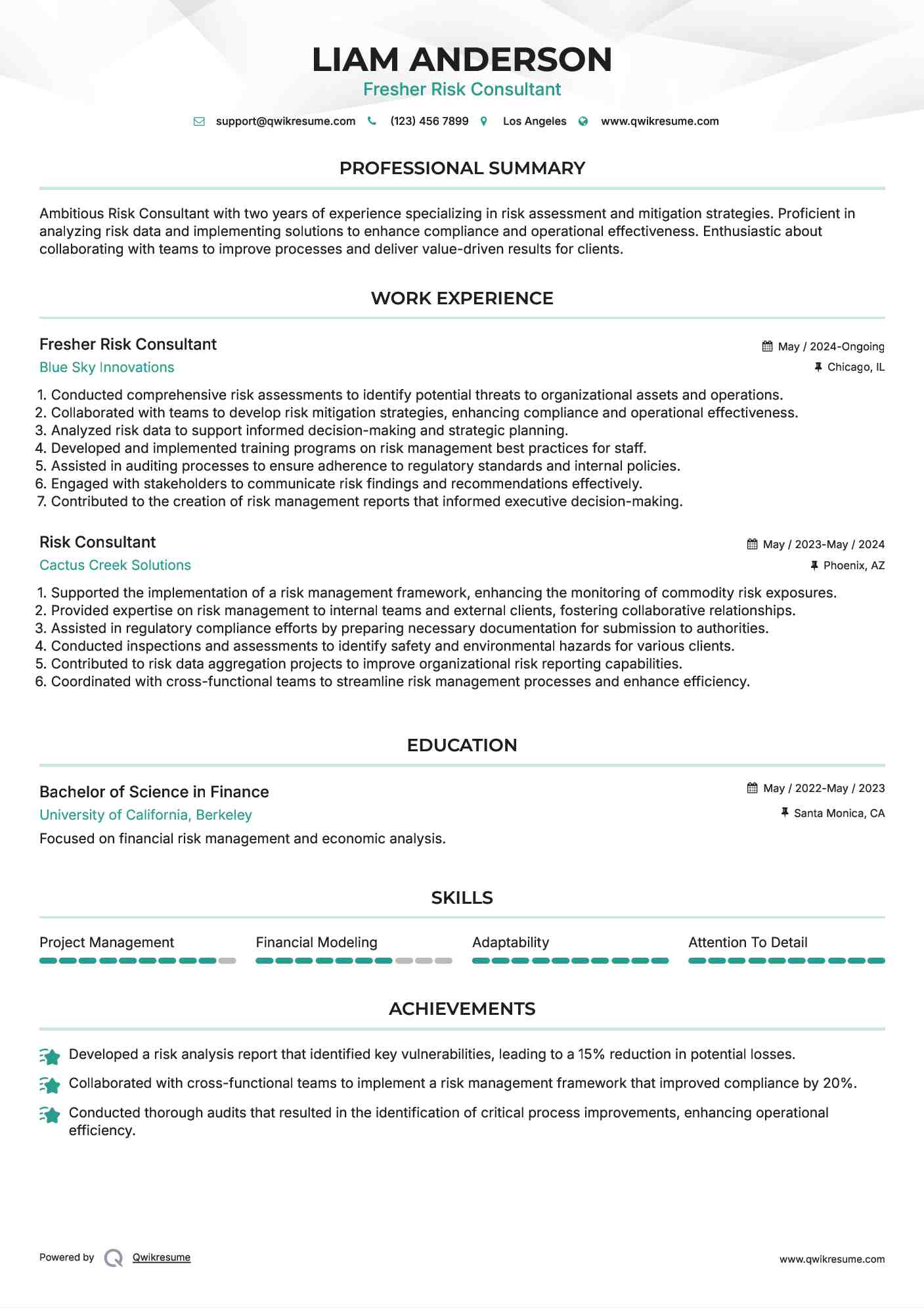 Fresher Risk Consultant Resume Model