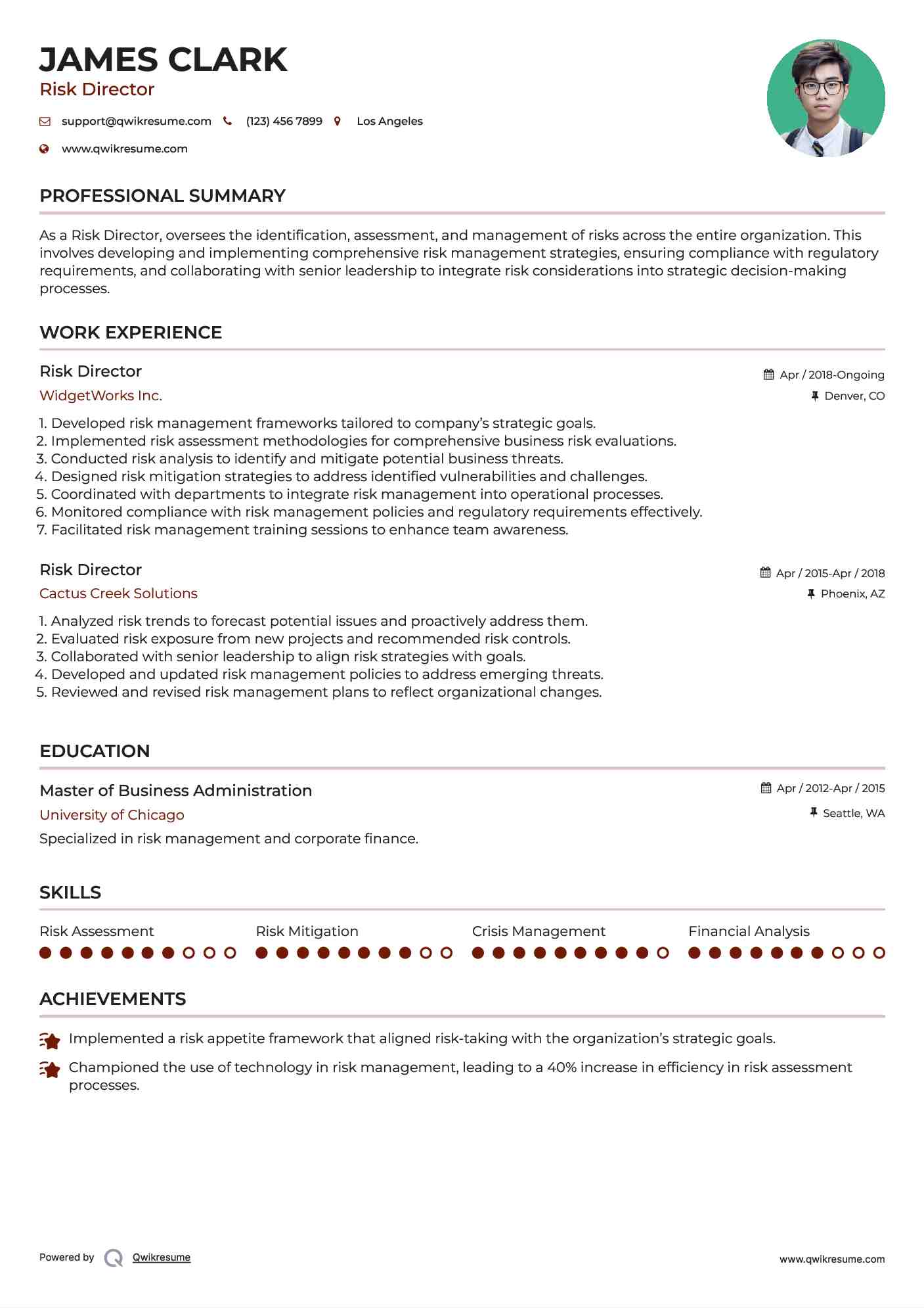 Risk Director Resume Model