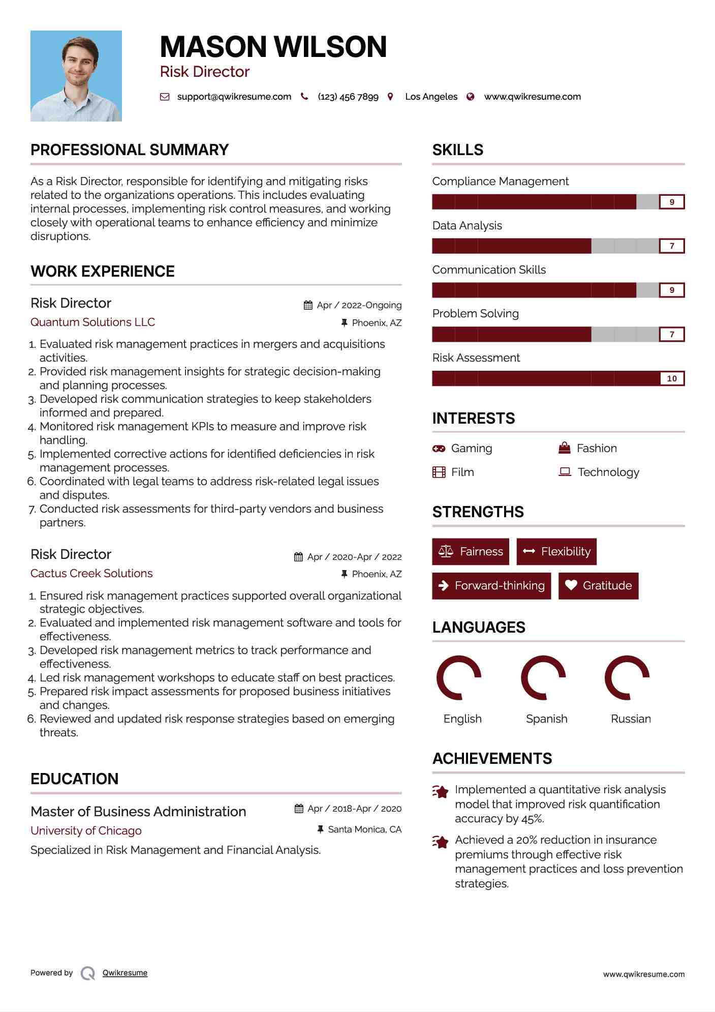 Risk Director Resume Example