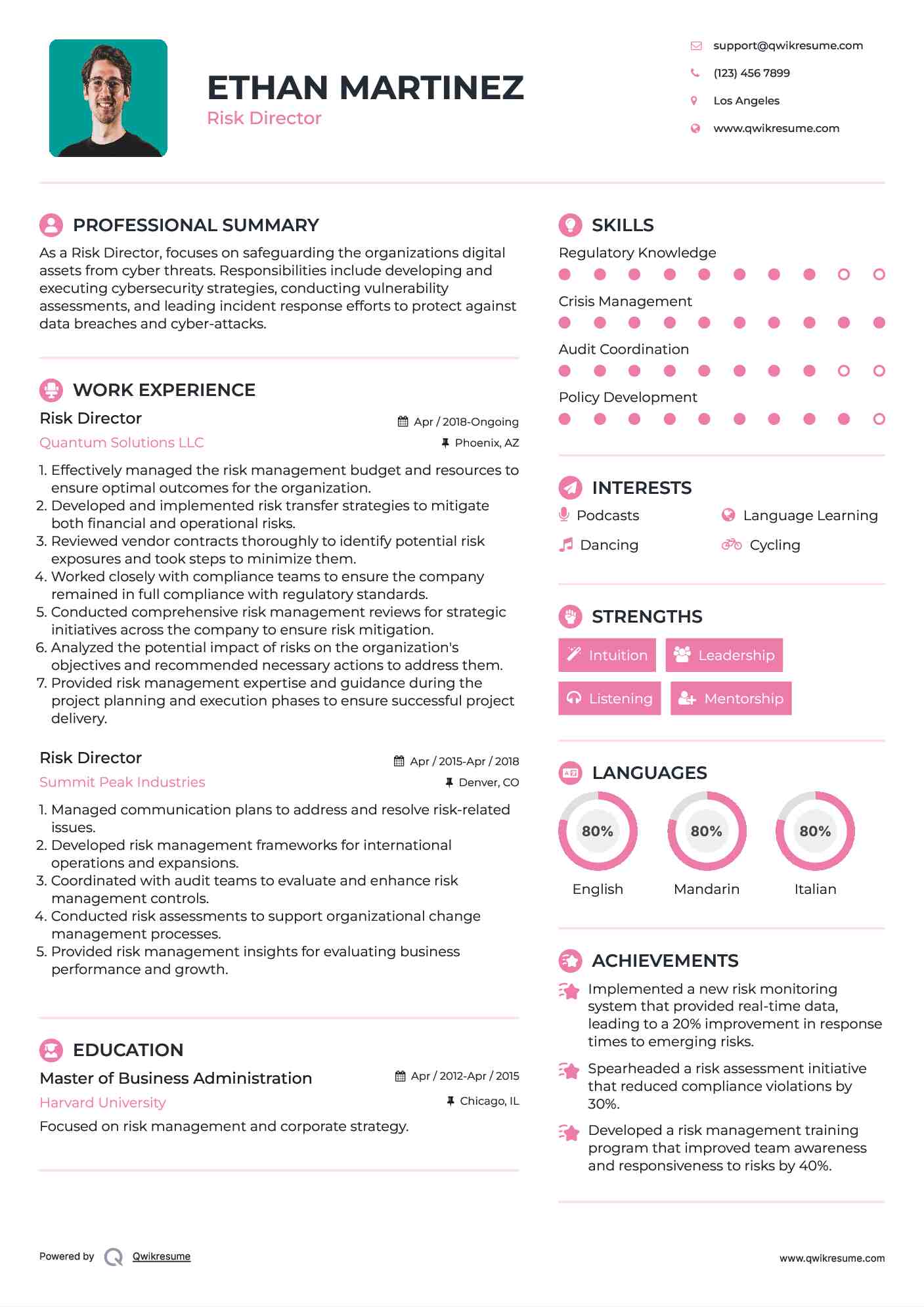 Risk Director Resume Model