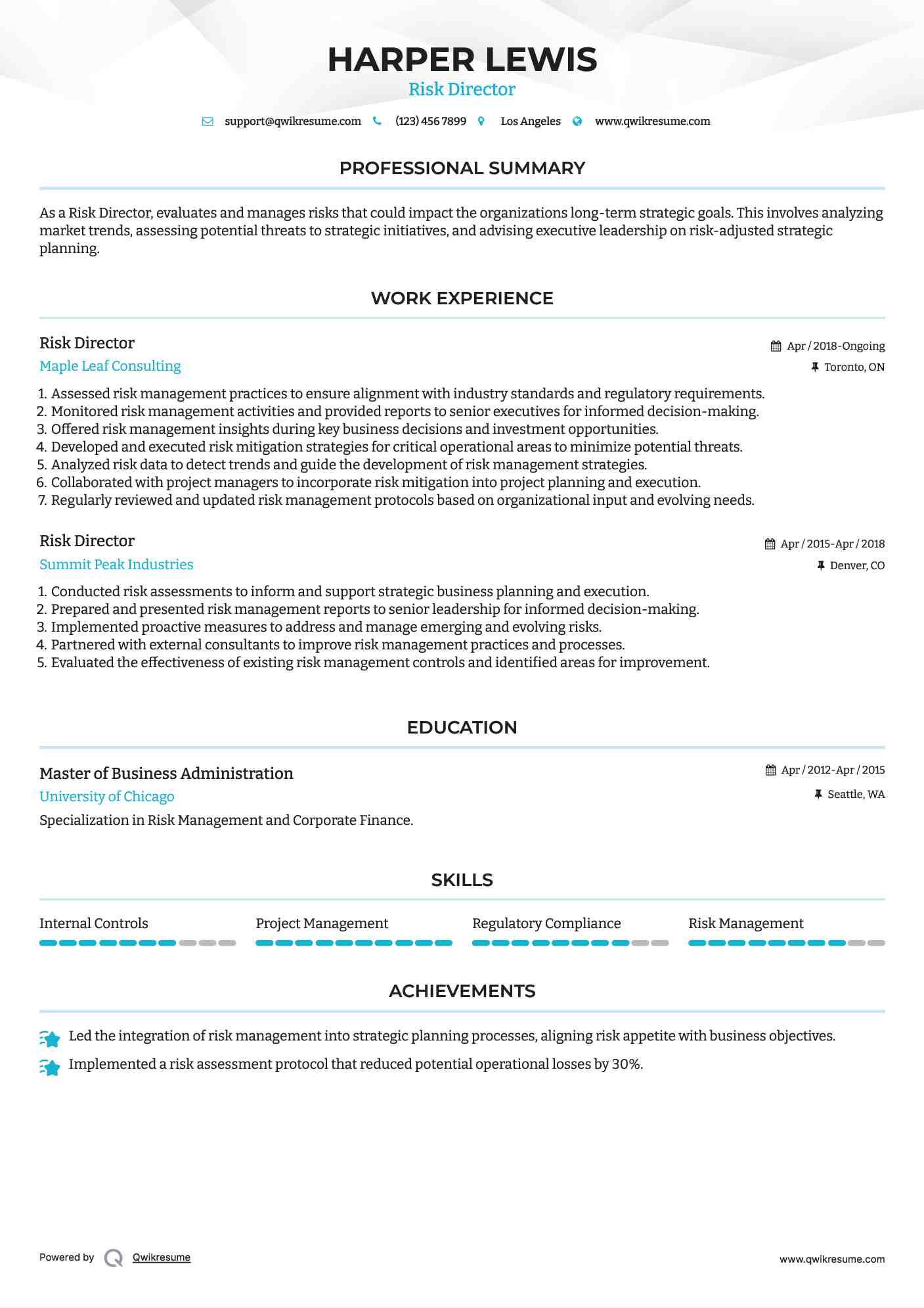 Risk Director Resume Template