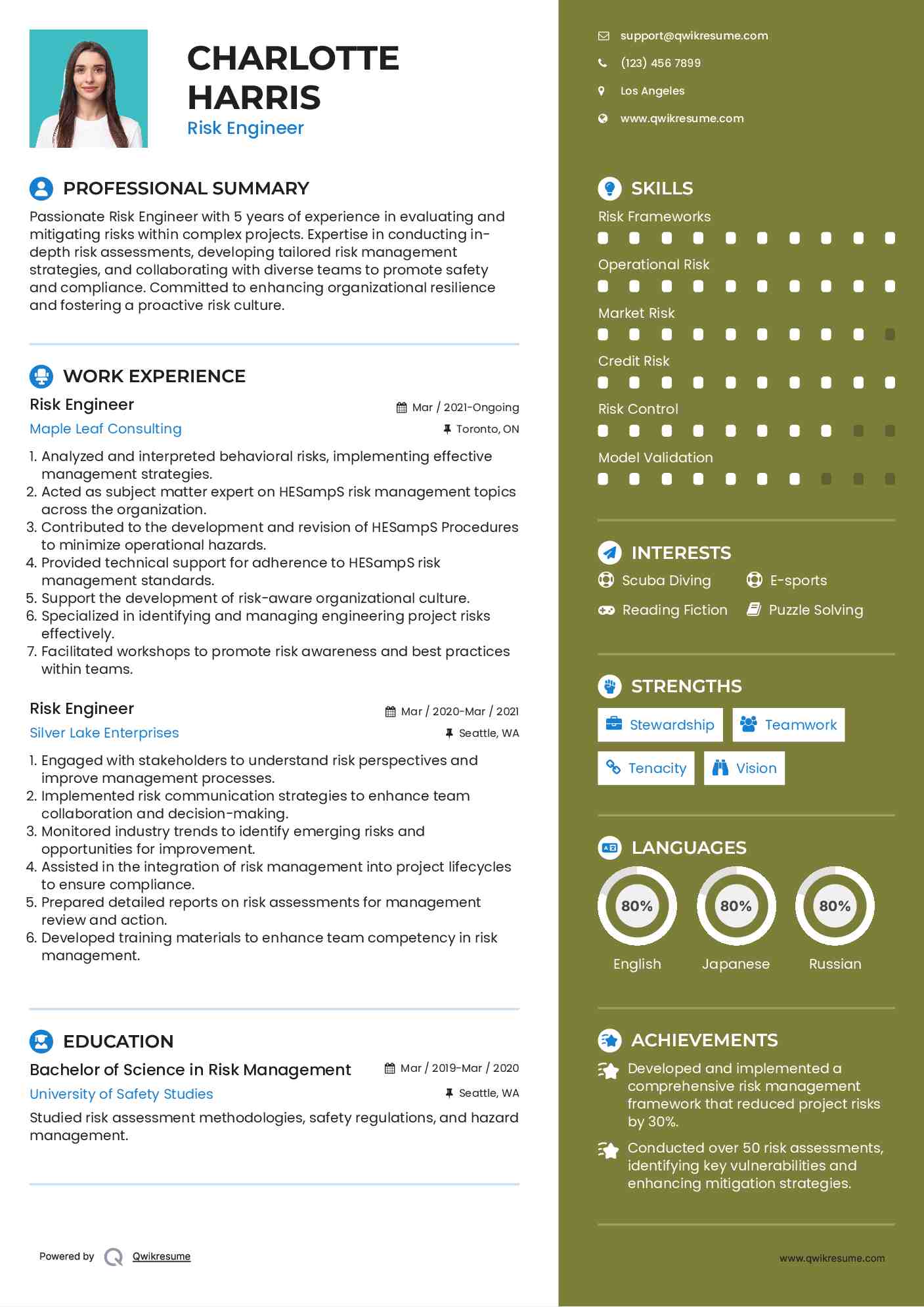 Risk Engineer Resume Template