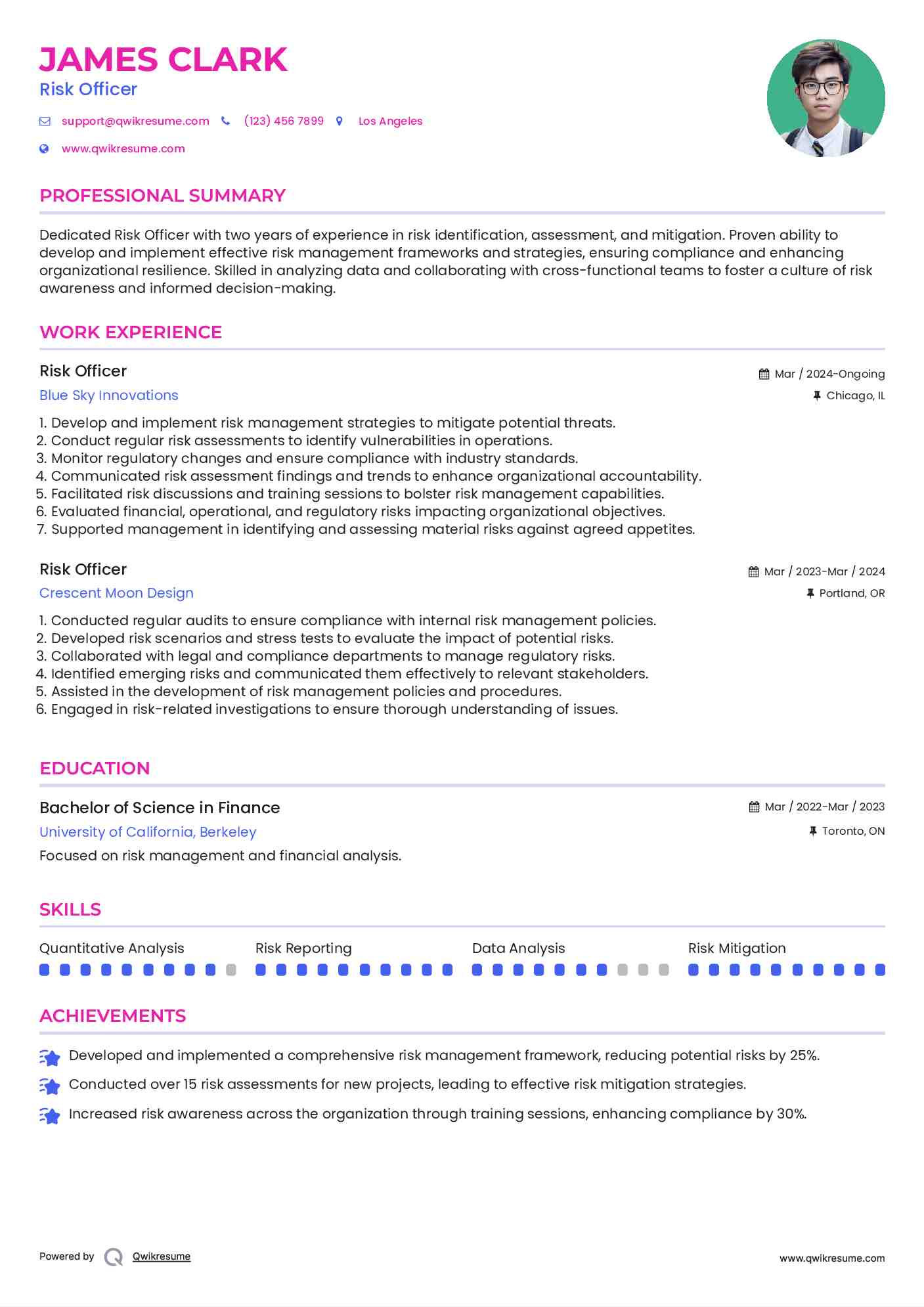 Risk Officer Resume Example