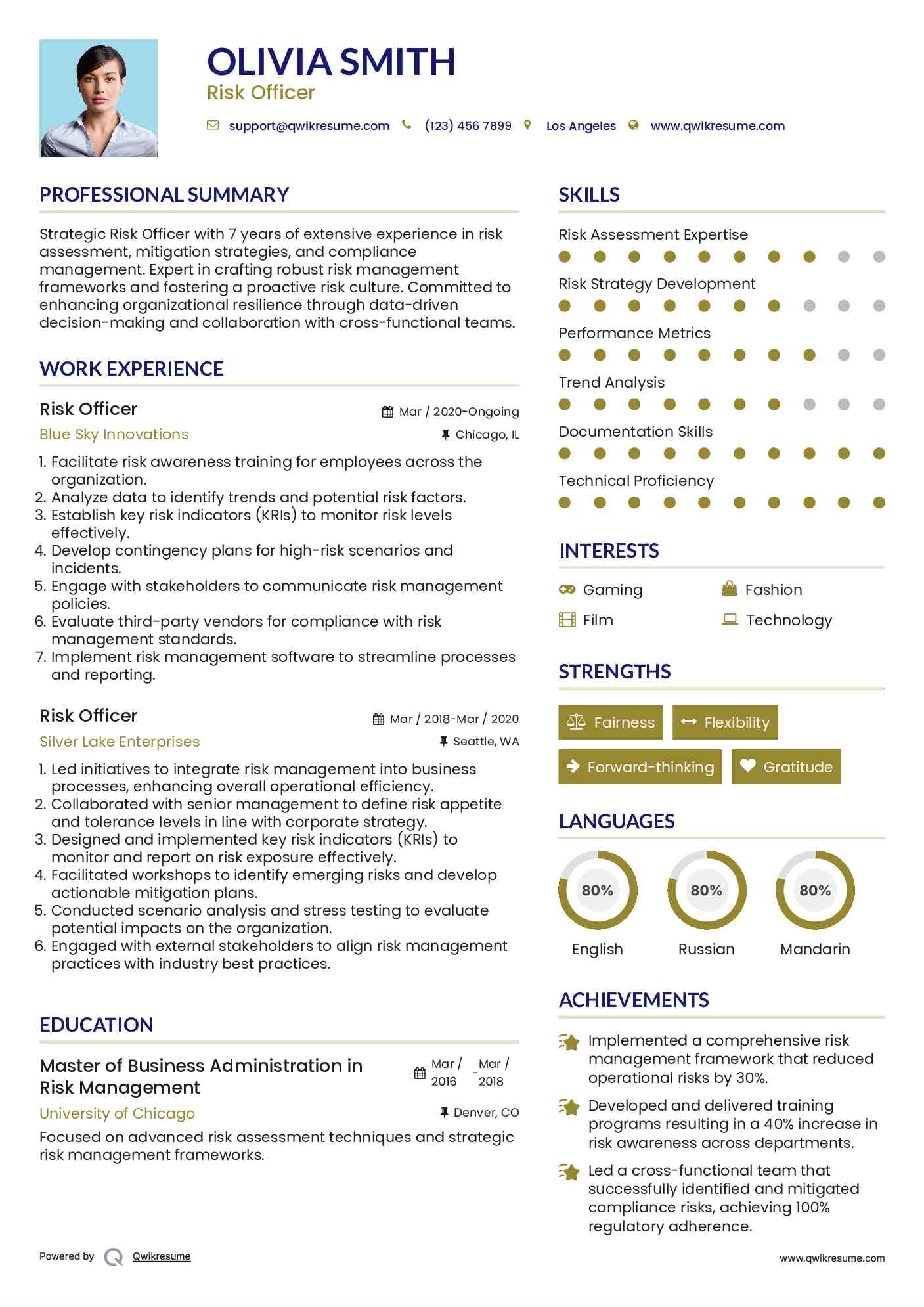 Risk Officer Resume Model