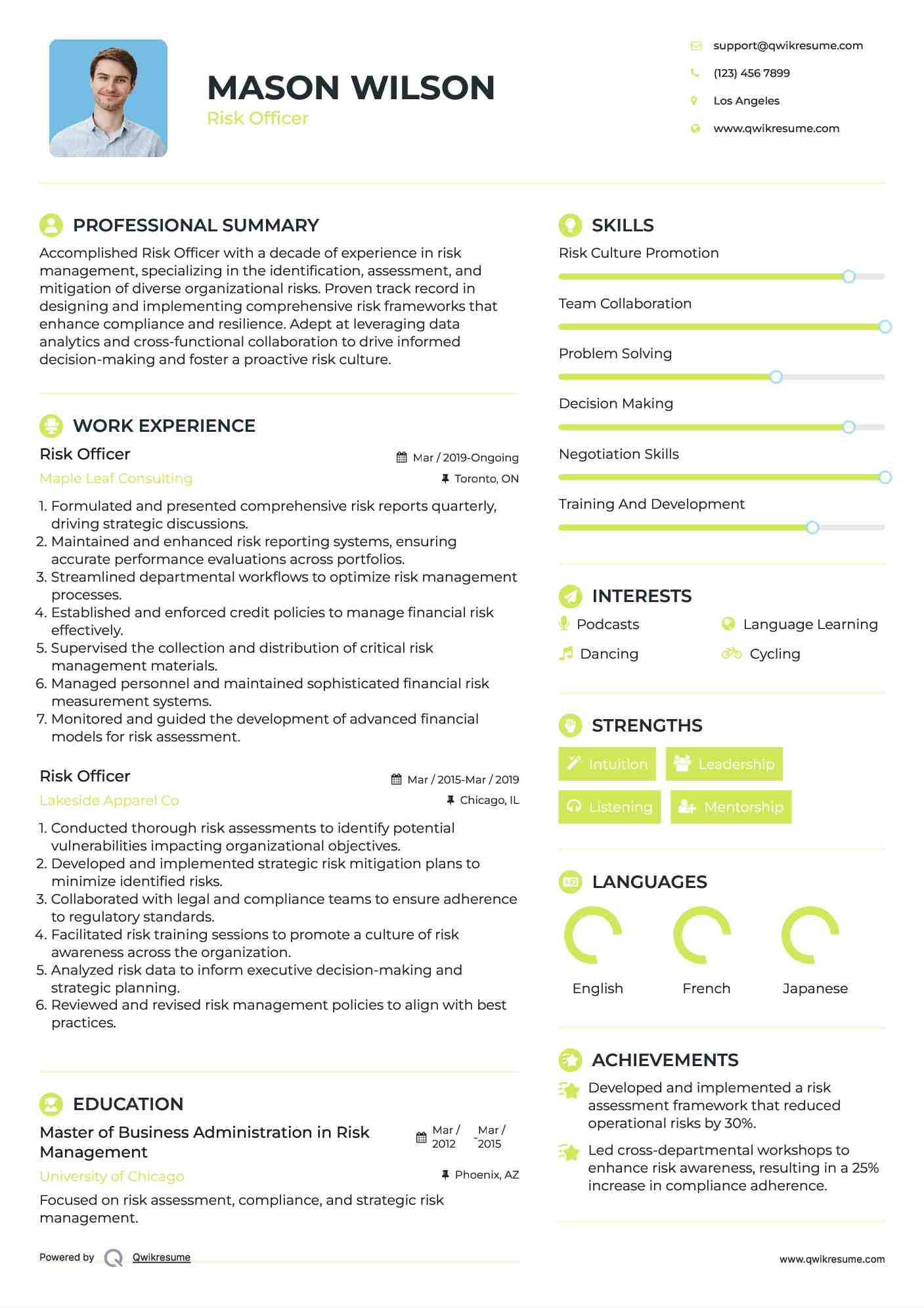 Risk Officer Resume Model