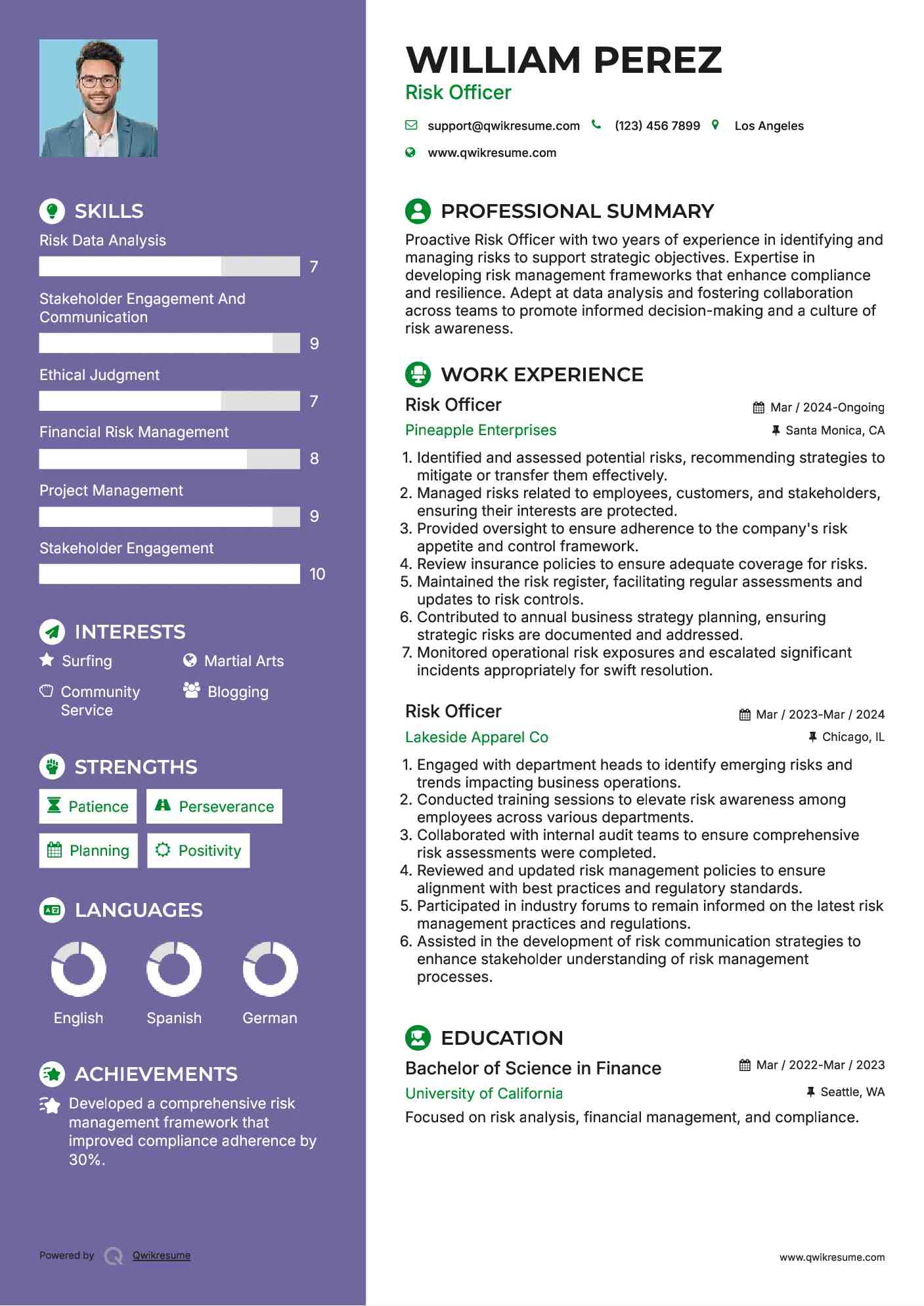 Risk Officer Resume Sample