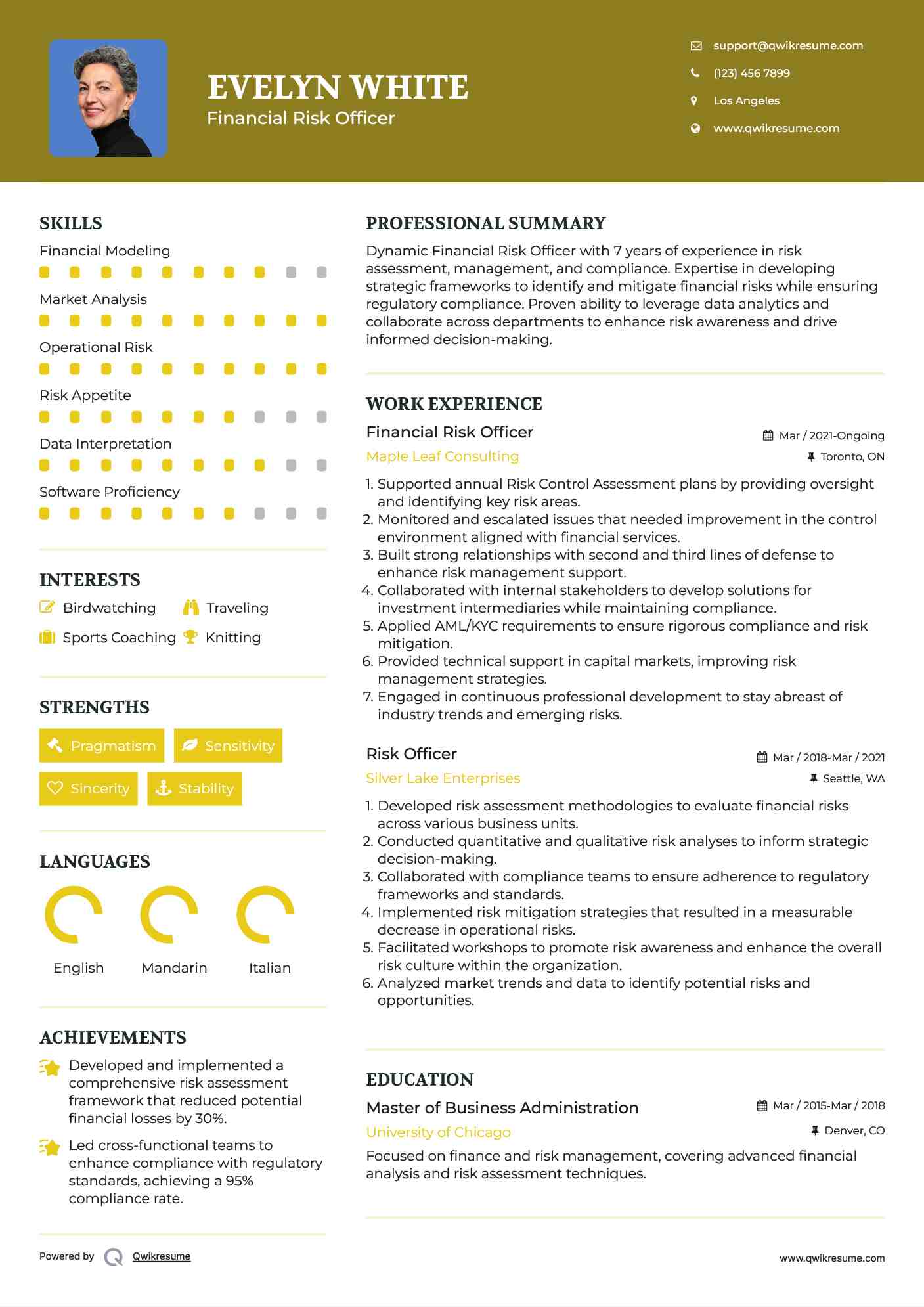 Financial Risk Officer
 Resume Model