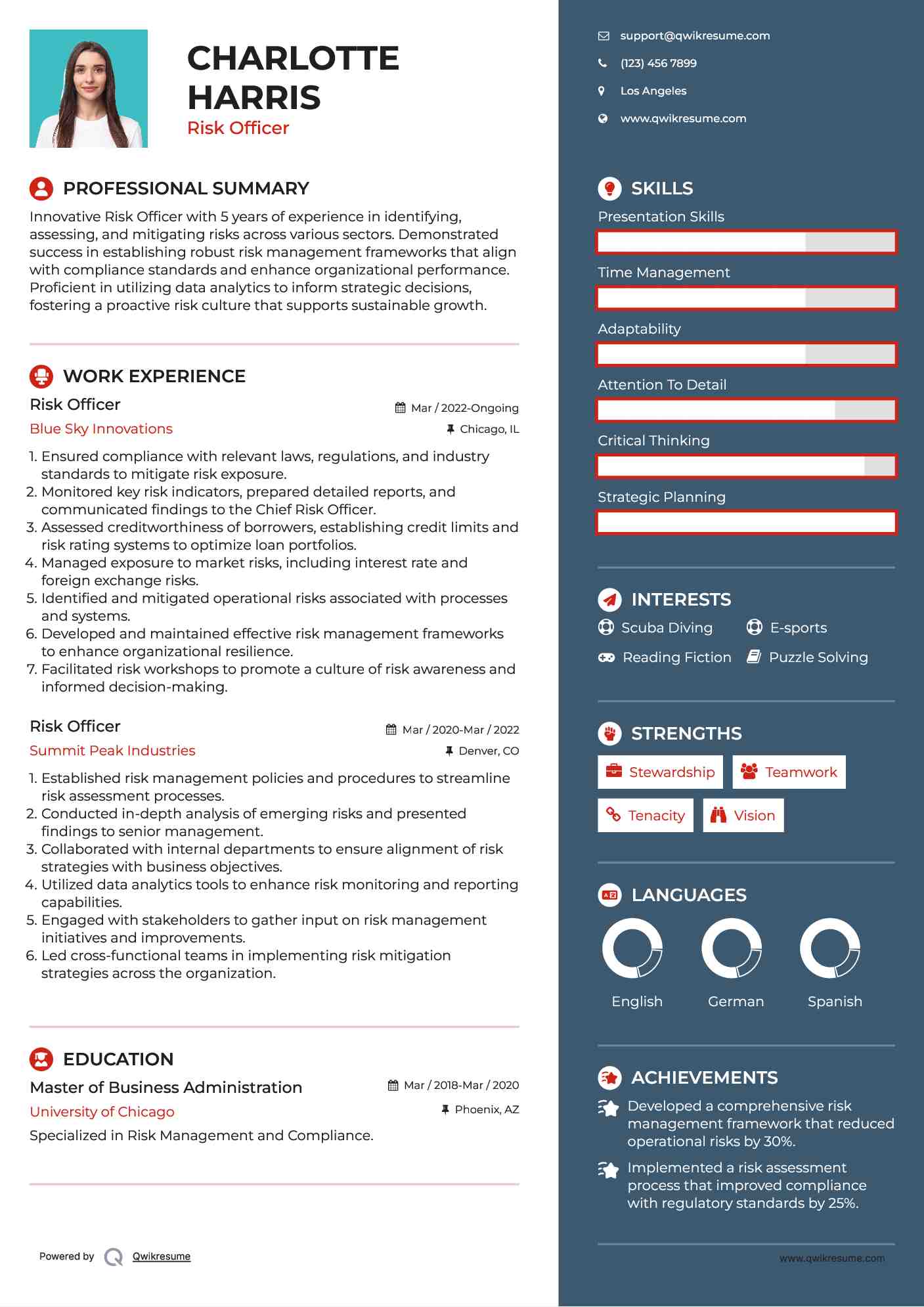 Risk Officer Resume Template