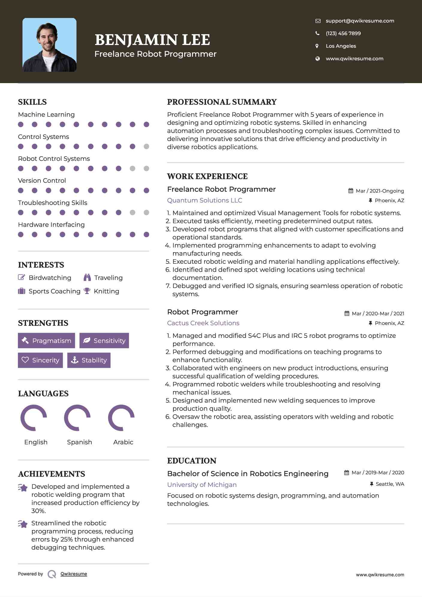 Freelance Robot Programmer Resume Sample