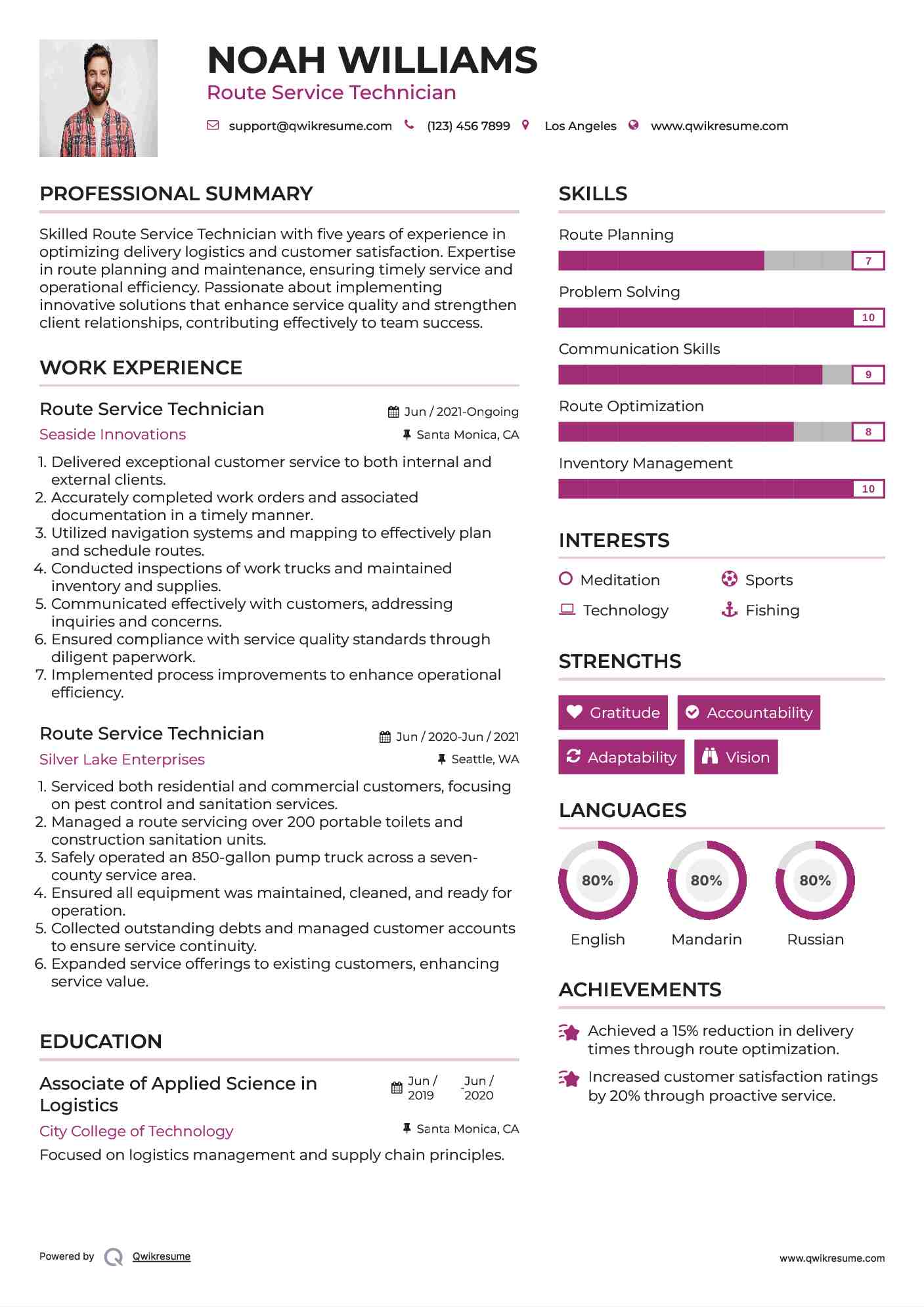 Route Service Technician Resume Sample