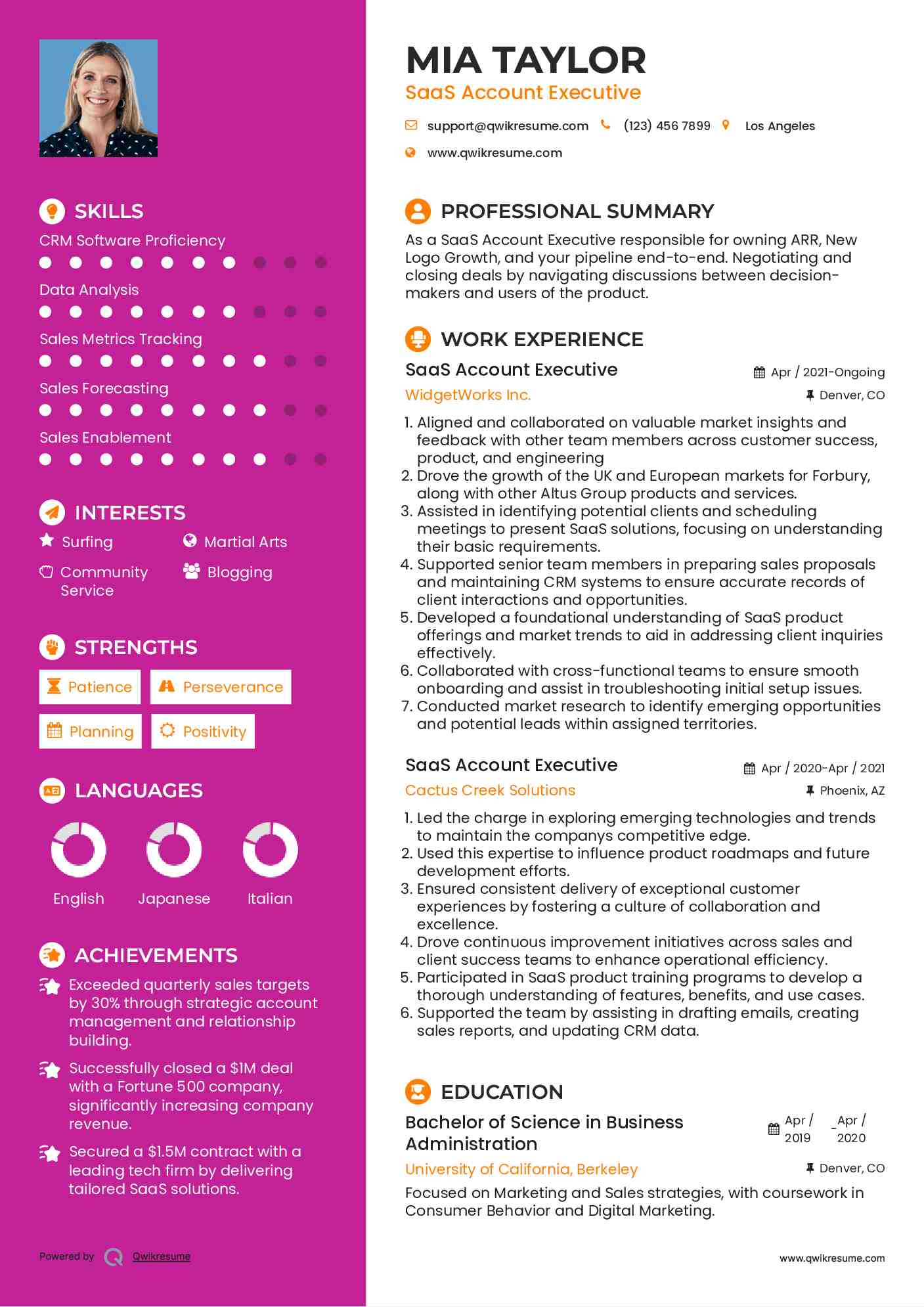 SaaS Account Executive Resume Sample