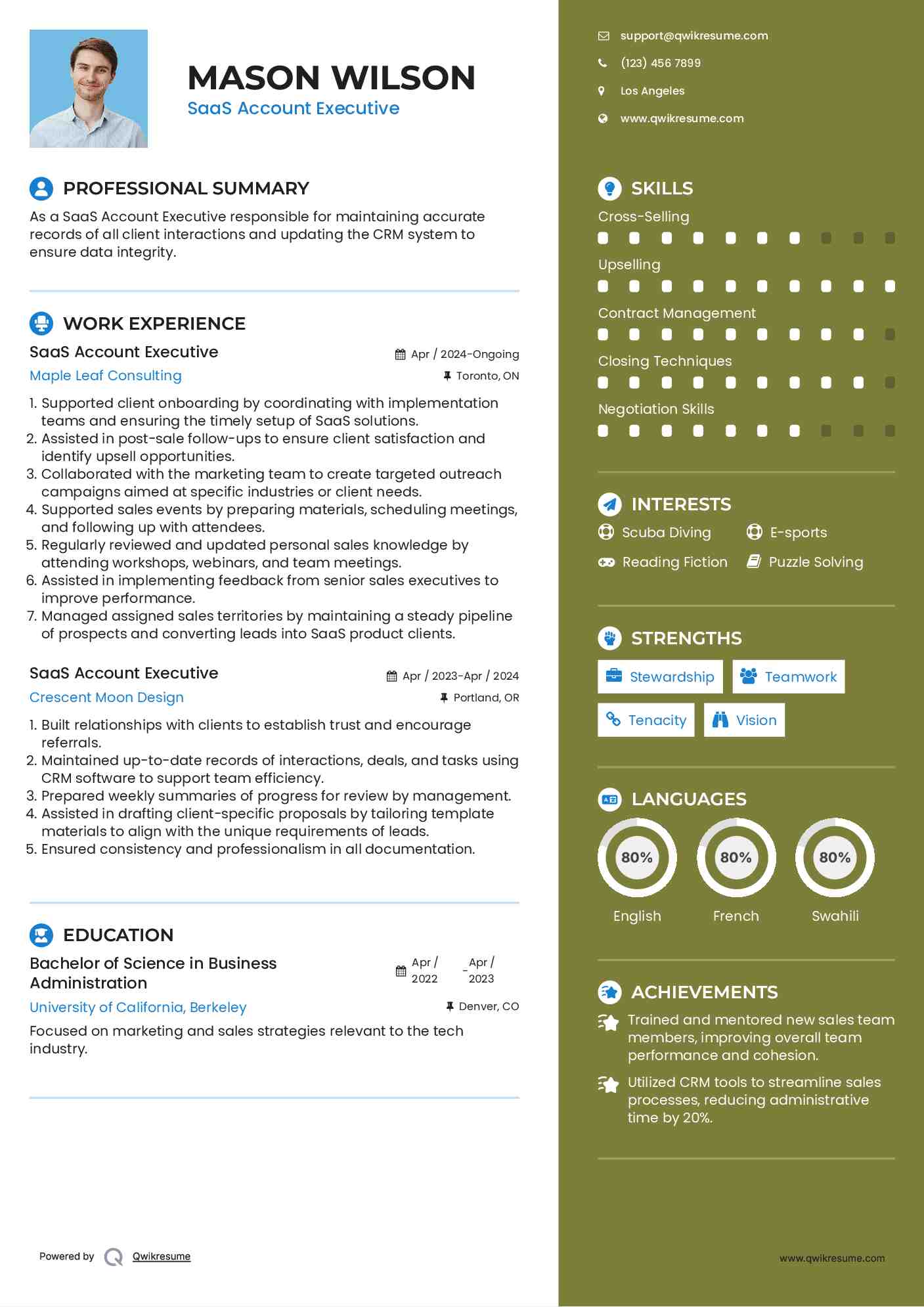 SaaS Account Executive Resume Example