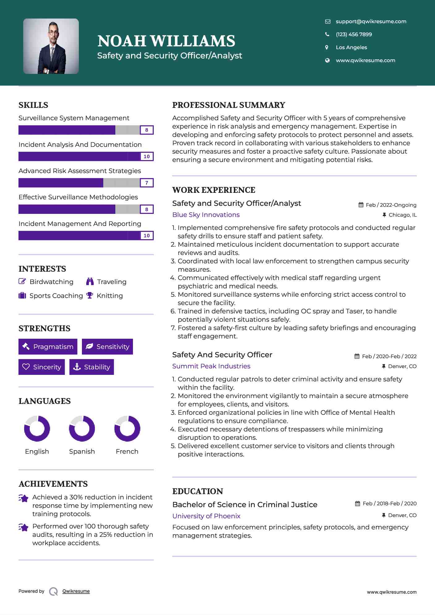 Safety and Security Officer/Analyst Resume Template