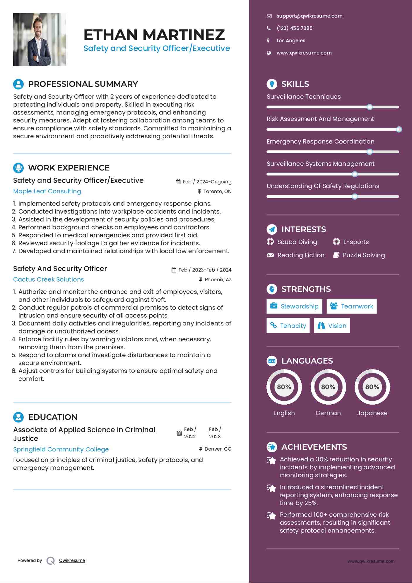 Safety and Security Officer/Executive Resume Model