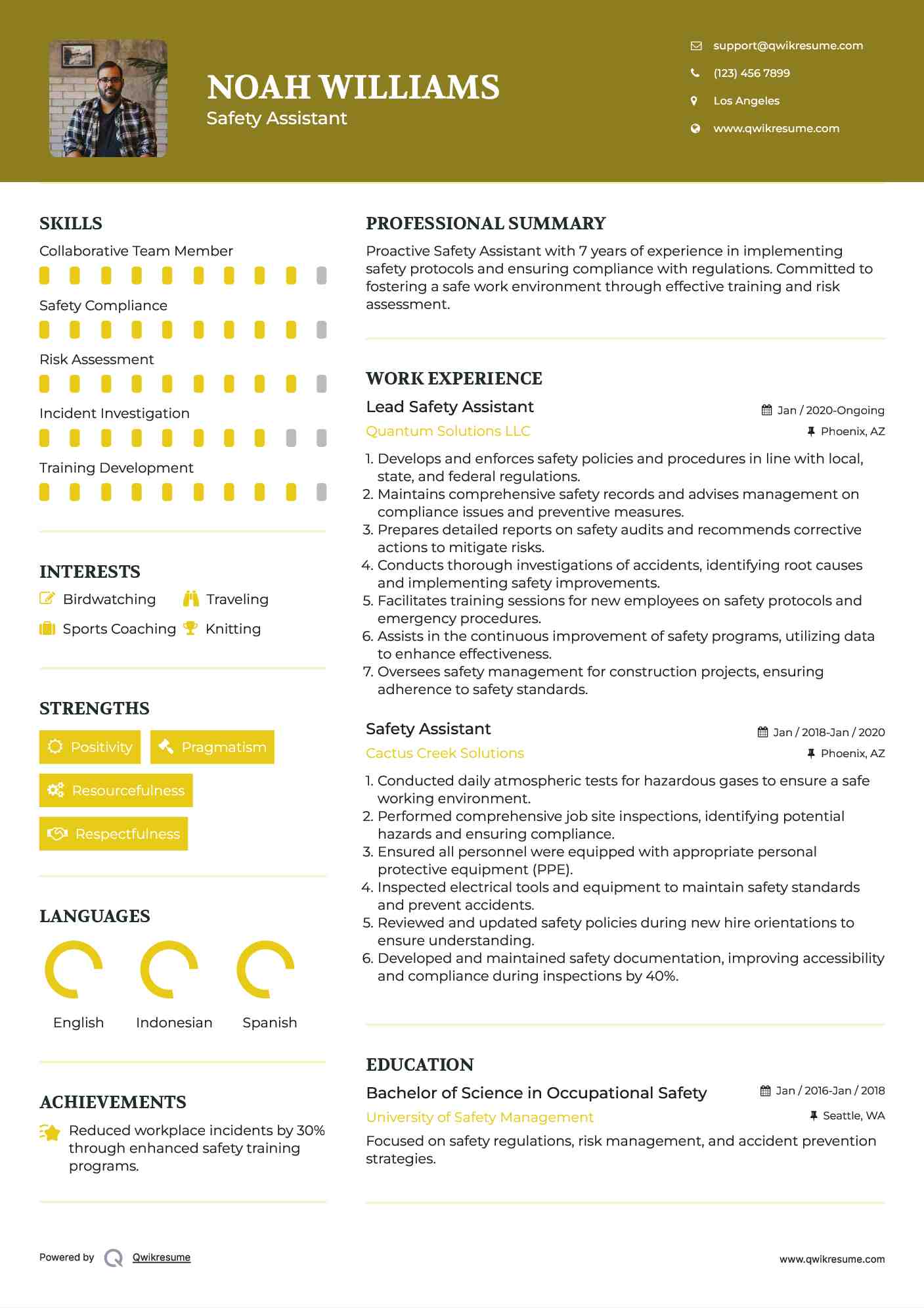 Lead Safety Assistant Resume Format