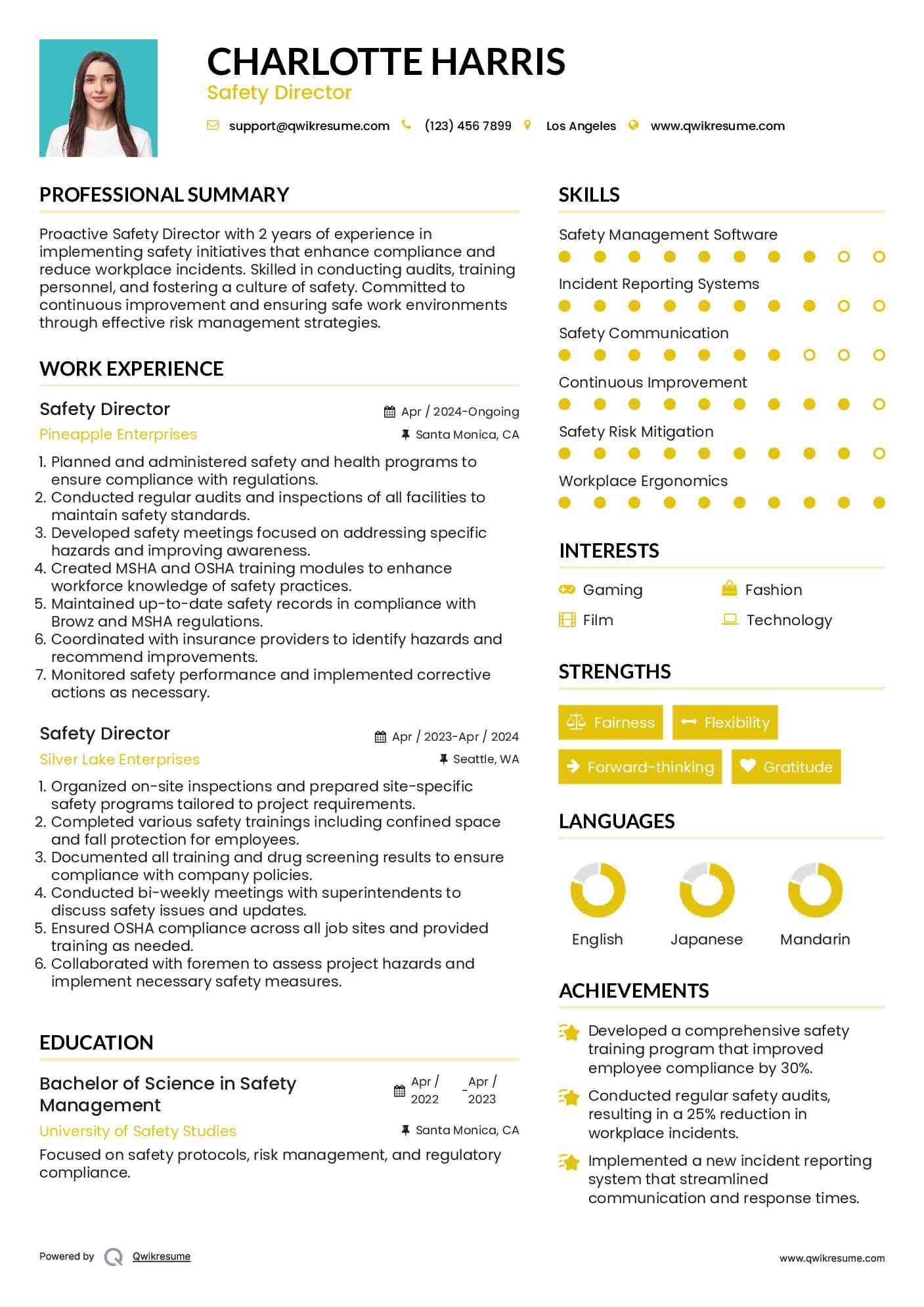 Safety Director Resume Template