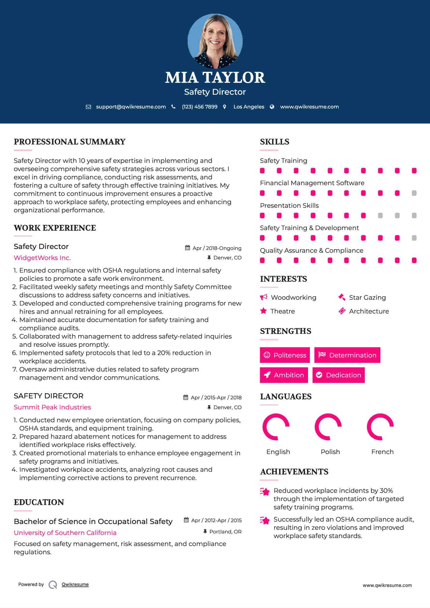 Safety Director Resume Example