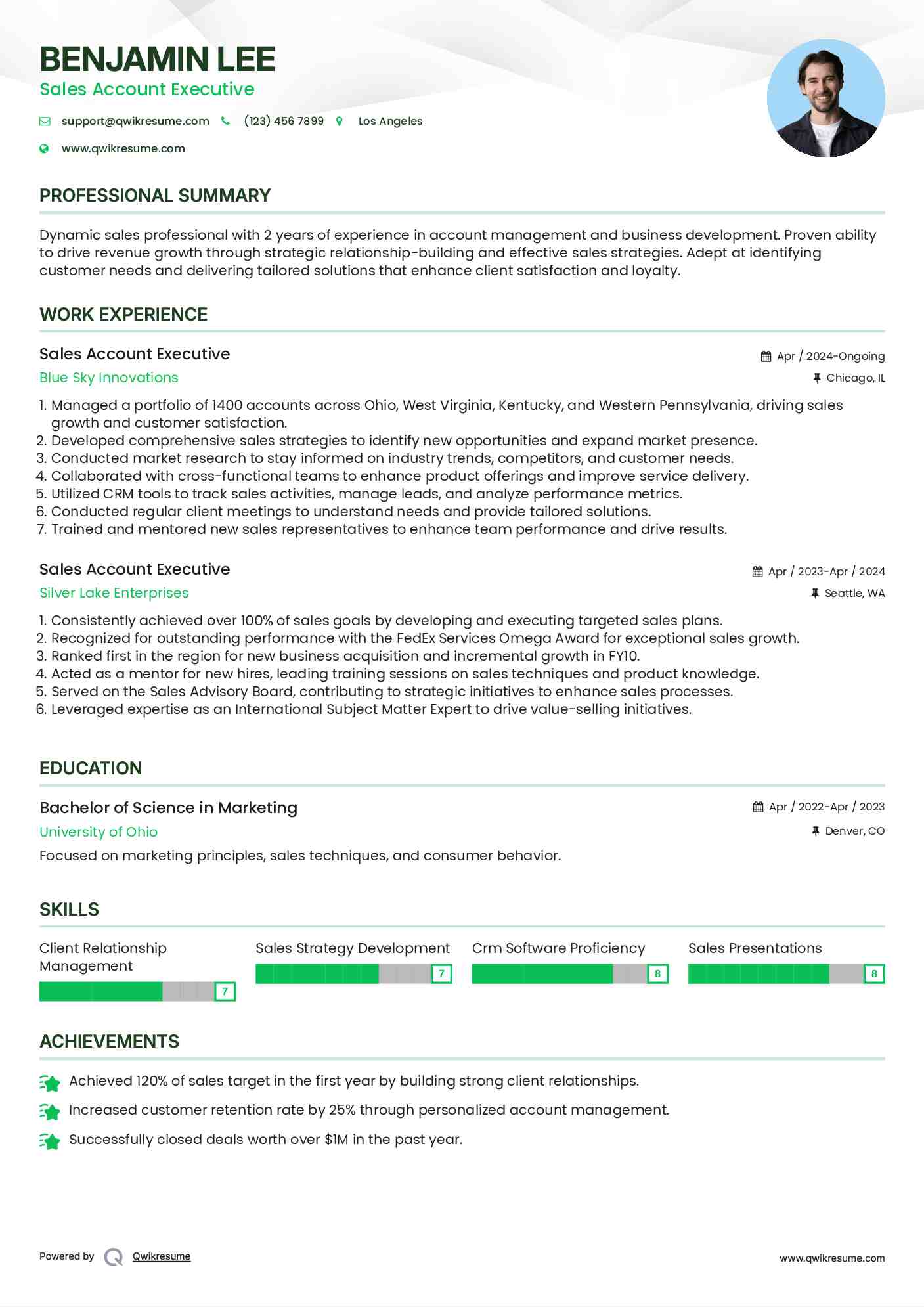 Sales Account Executive Resume Sample