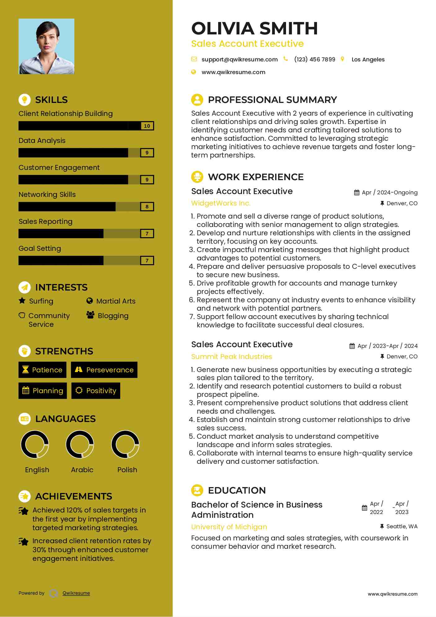 Sales Account Executive Resume Example