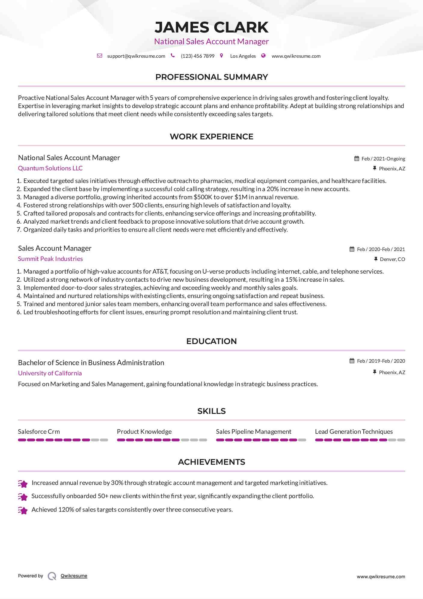 National Sales Account Manager Resume Model
