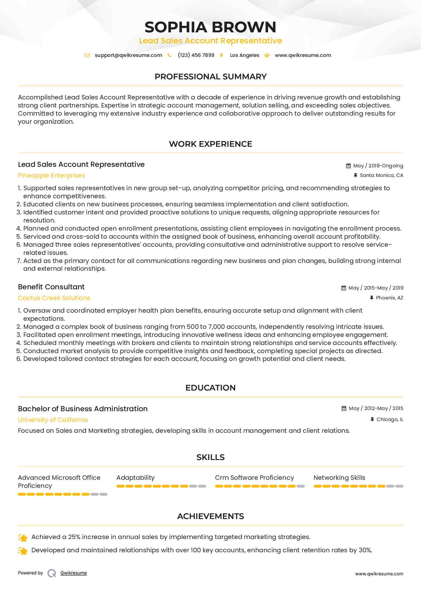 Lead Sales Account Representative  Resume Example