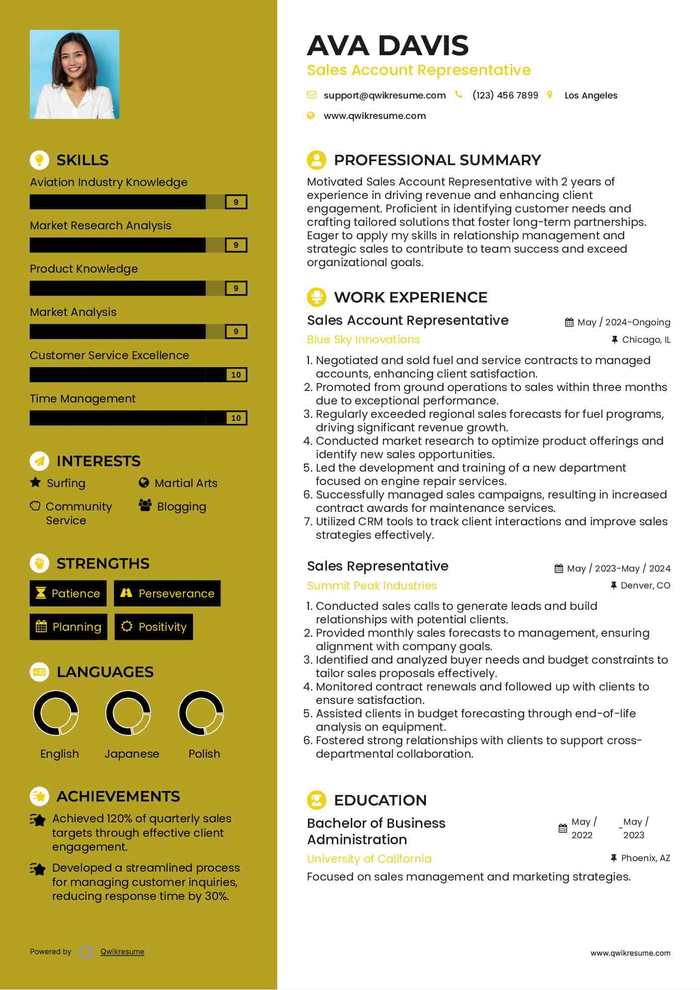 Sales Account Representative Resume Format