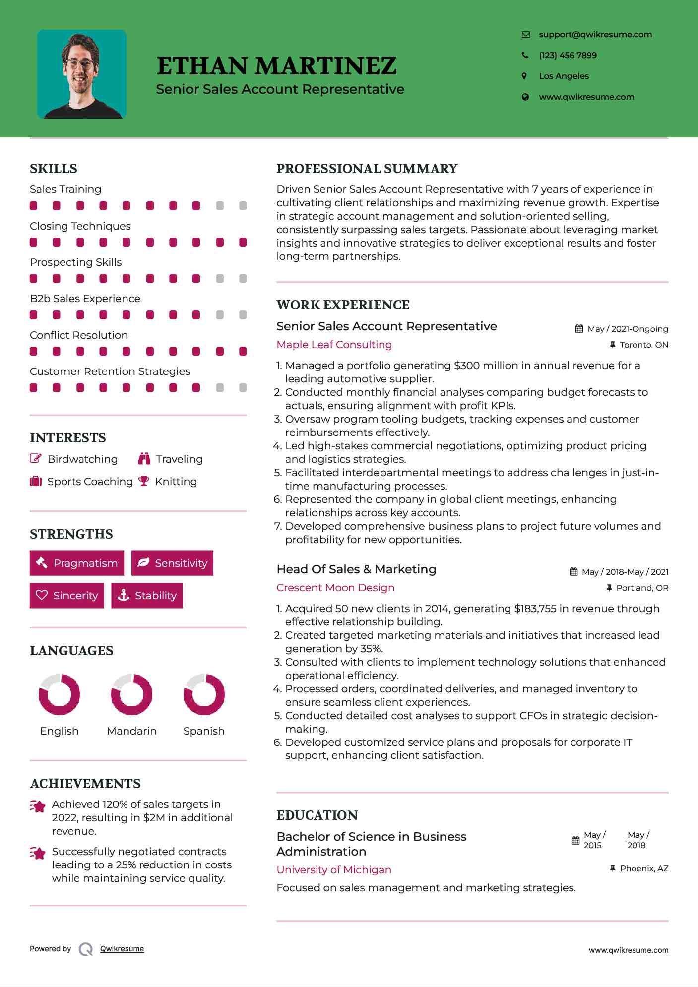 Senior Sales Account Representative  Resume Template