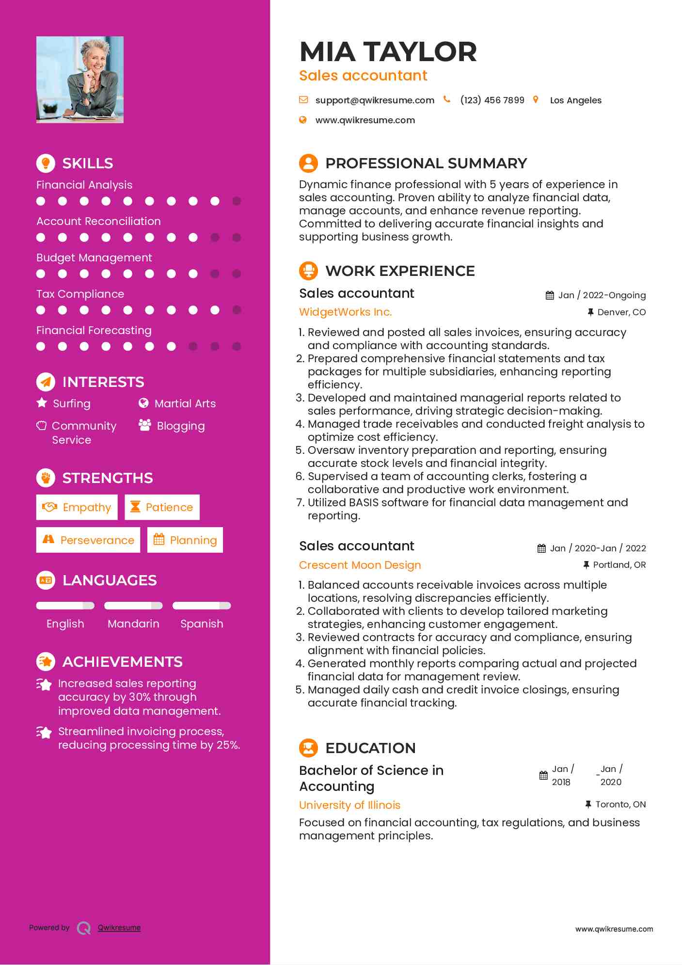 Sales accountant Resume Example