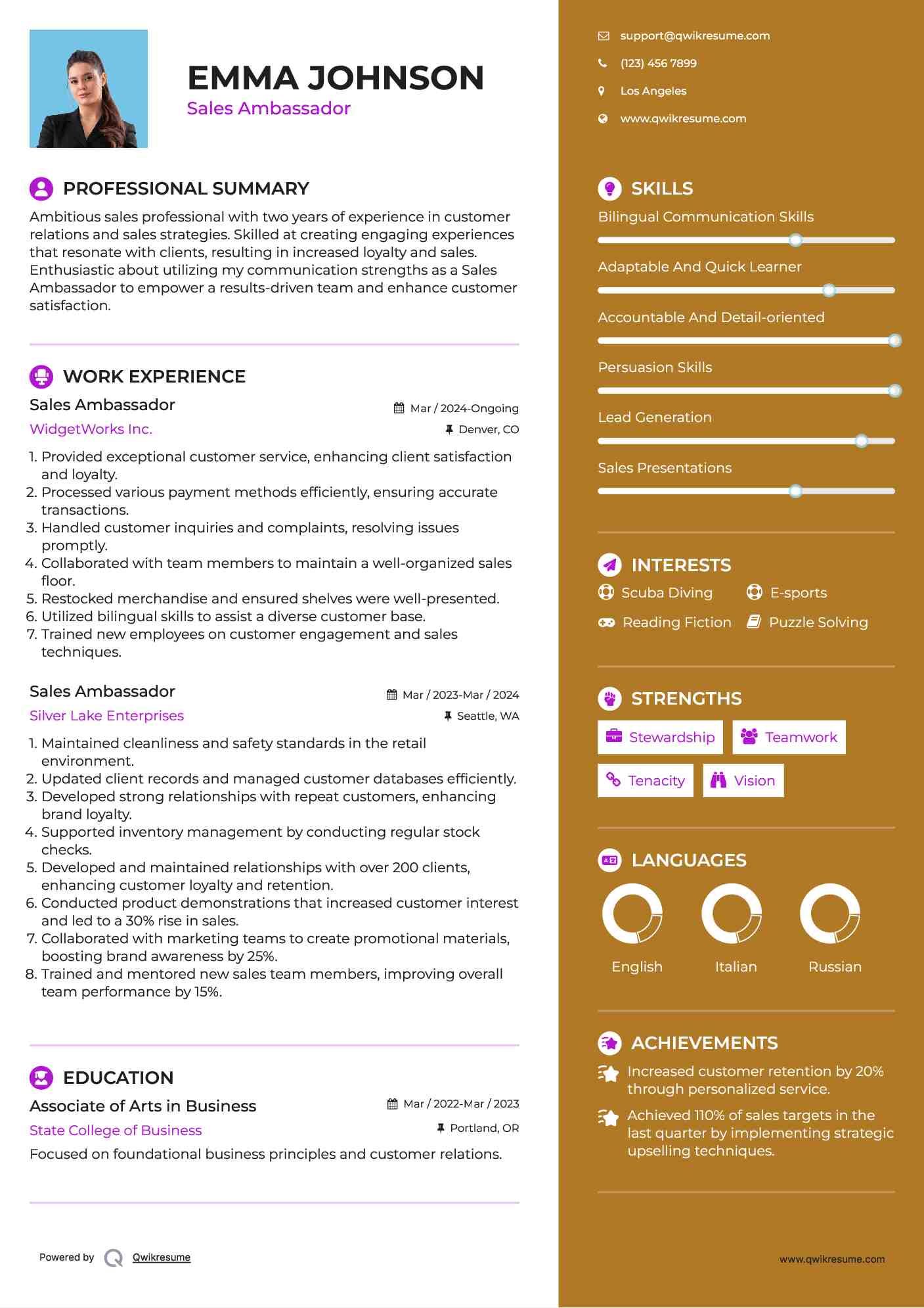 Sales Ambassador Resume Example