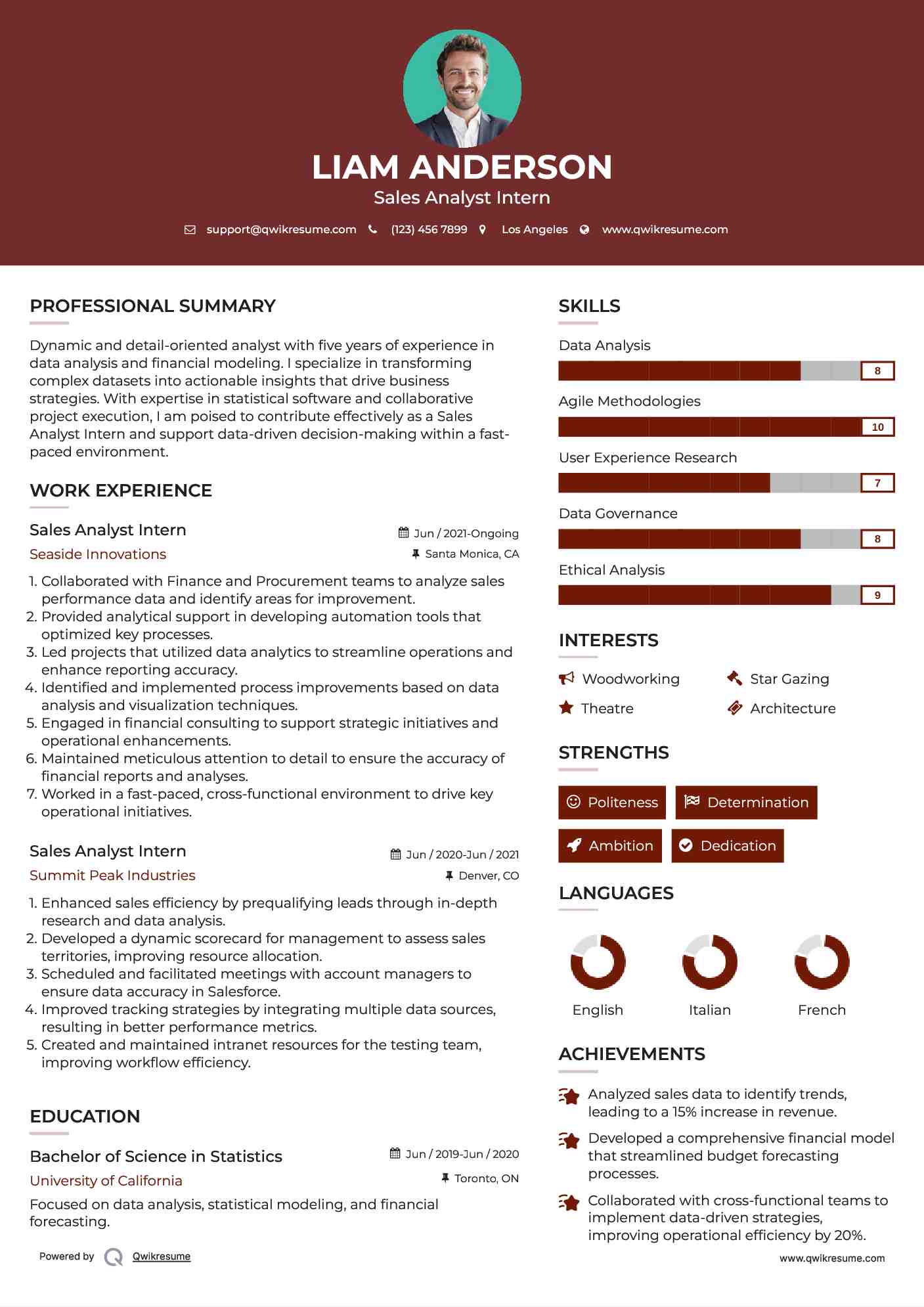 Sales Analyst Intern Resume Model