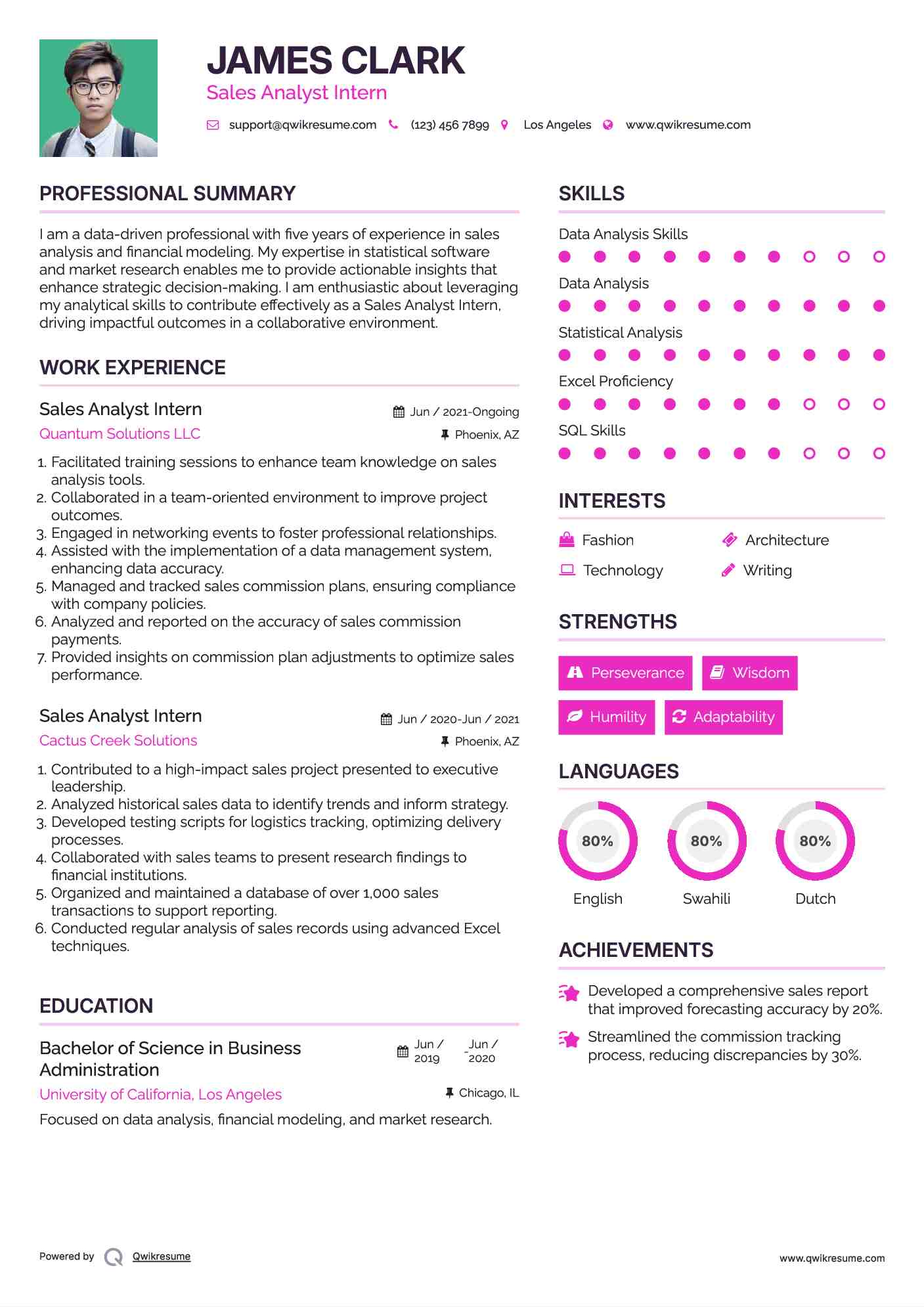 Sales Analyst Intern Resume Template