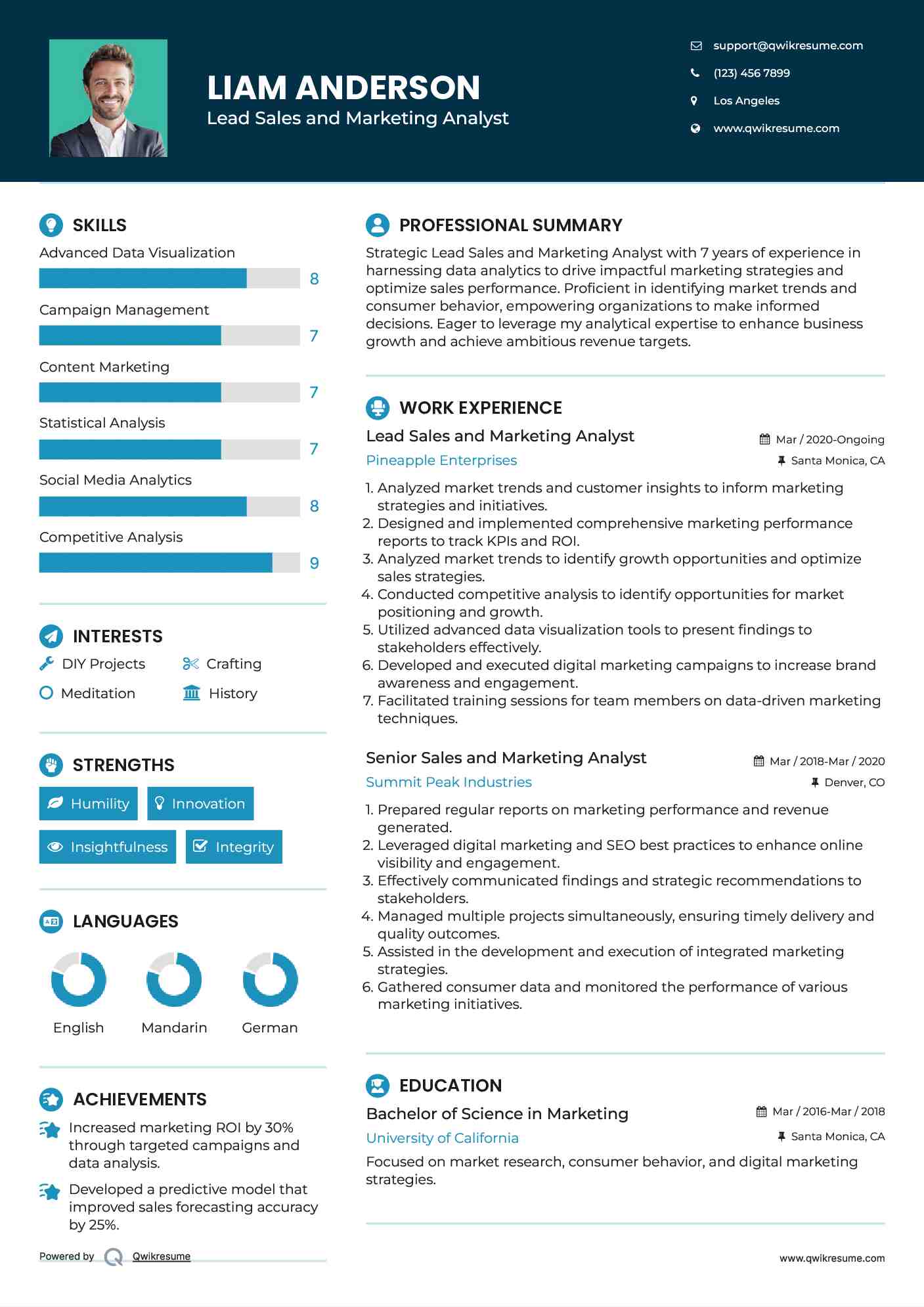 Lead Sales and Marketing Analyst Resume Sample